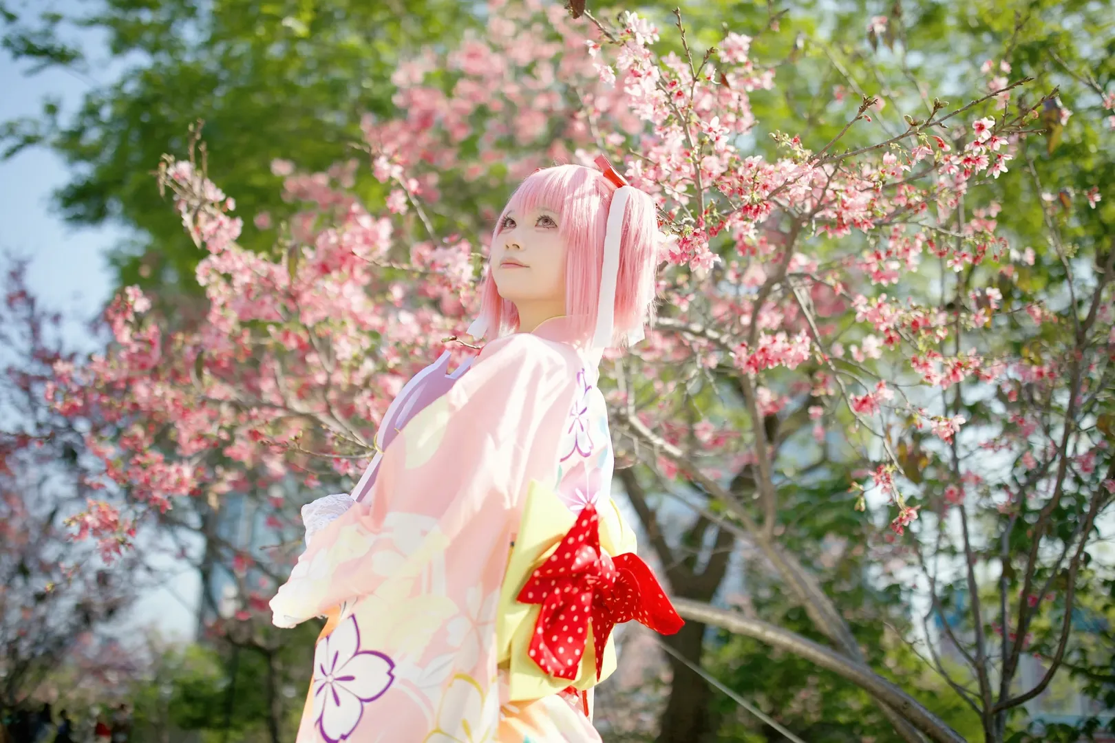 二次元少女, 鹿目圆cos, 魔法少女小圆, 春日樱花写真, 和服cosplay - 第3张