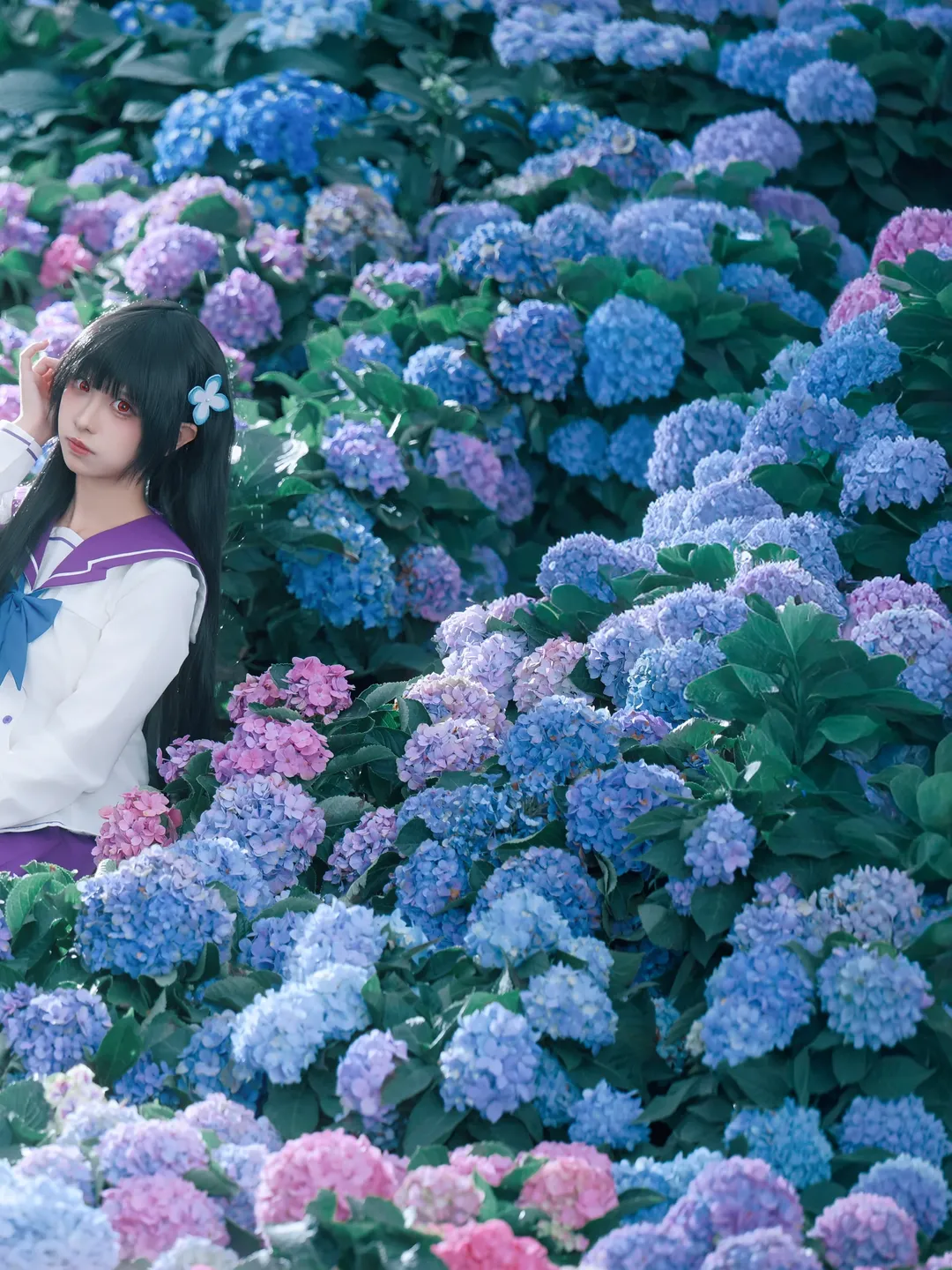 散华礼弥cos, 僵尸哪有那么萌, cosplay摄影, 绣球花拍照, 无尽夏花海 - 第6张