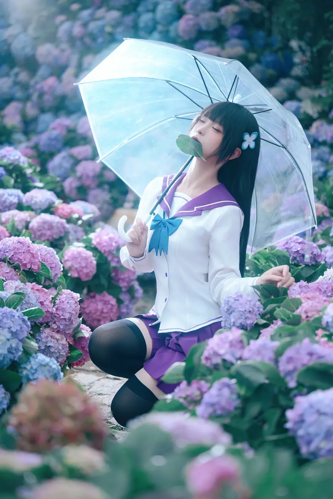 散华礼弥cos, 僵尸哪有那么萌, cosplay分享, 绣球花写真, 无尽夏摄影 - 第1张