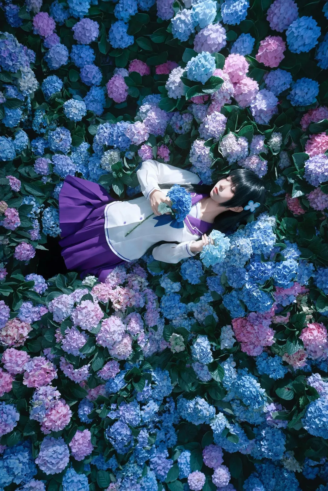 散华礼弥cos, 僵尸哪有那么萌, cosplay分享, 绣球花写真, 无尽夏摄影 - 第5张