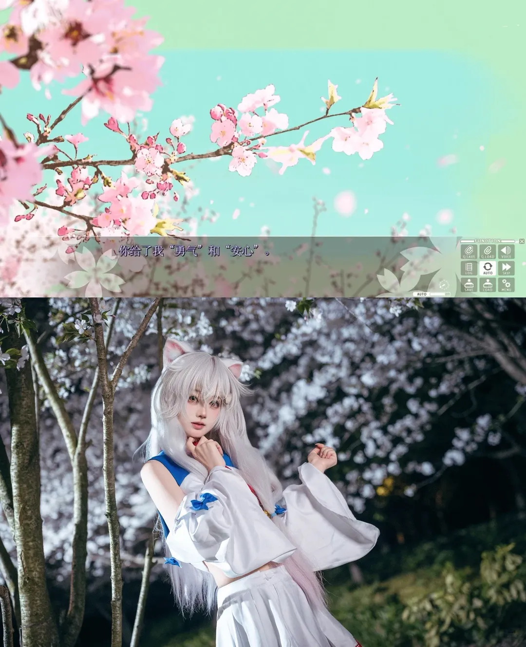 兽耳娘, 小黑cos, 樱花萌放, f社, 夜景樱花 - 第2张