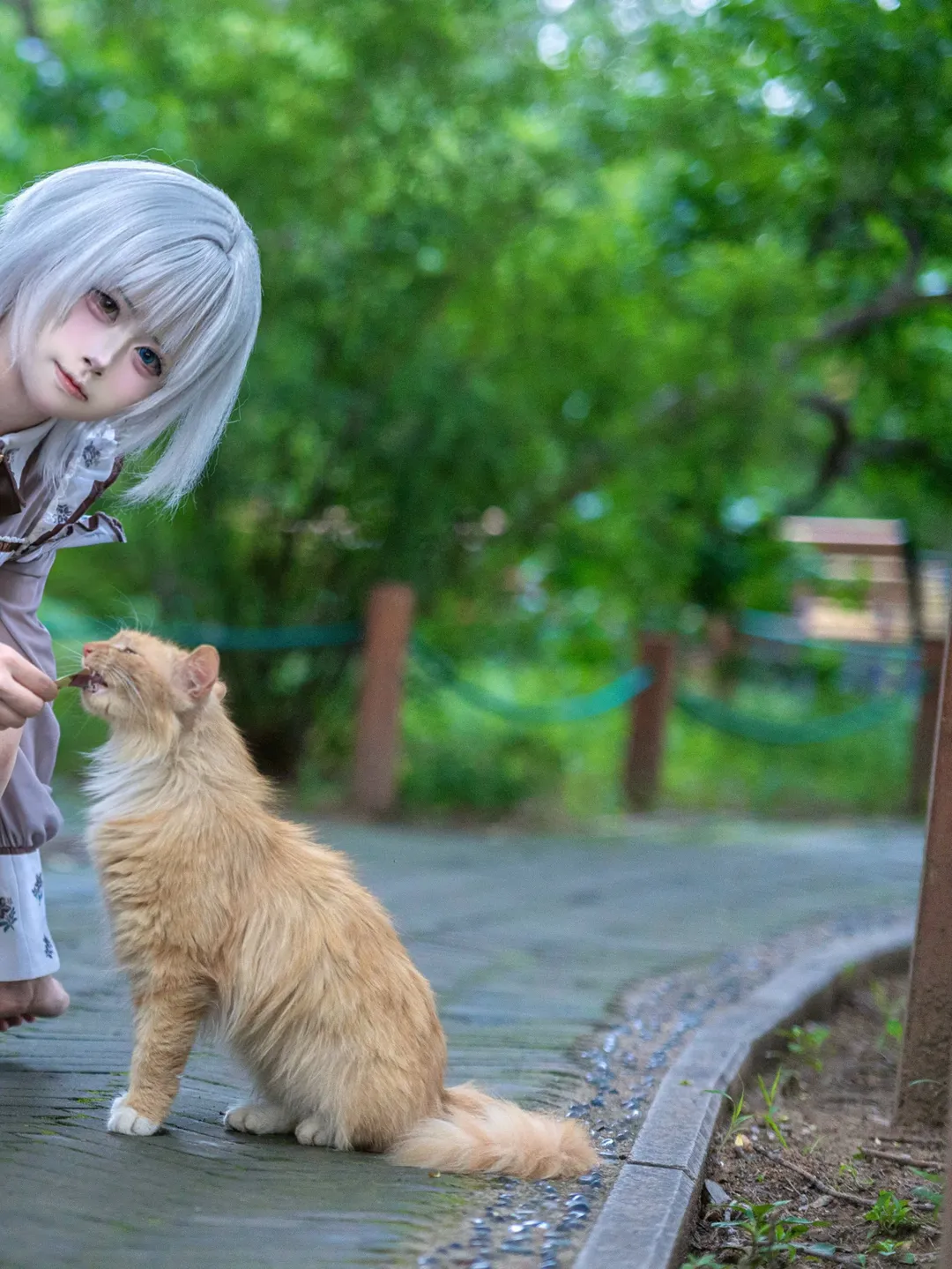 cosplay, MyGO!!!!!, 要乐奈cos, BanG Dream!, 橘猫 - 第3张