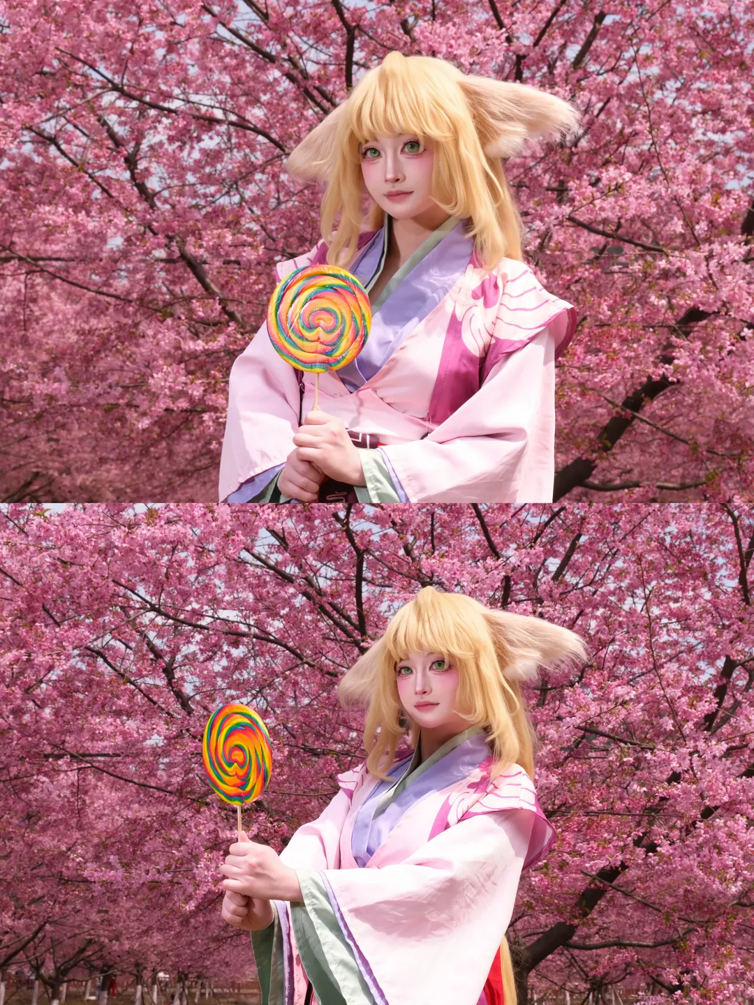 cos正片, 狐妖小红娘, 樱花季, 樱花写真, 涂山苏苏cos - 第1张