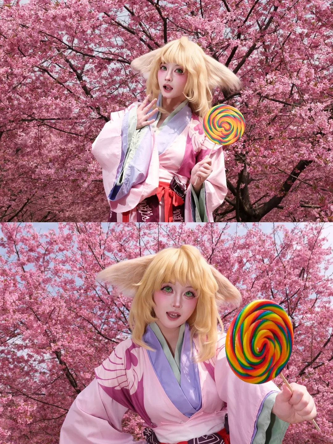 cos正片, 狐妖小红娘, 樱花季, 樱花写真, 涂山苏苏cos - 第2张