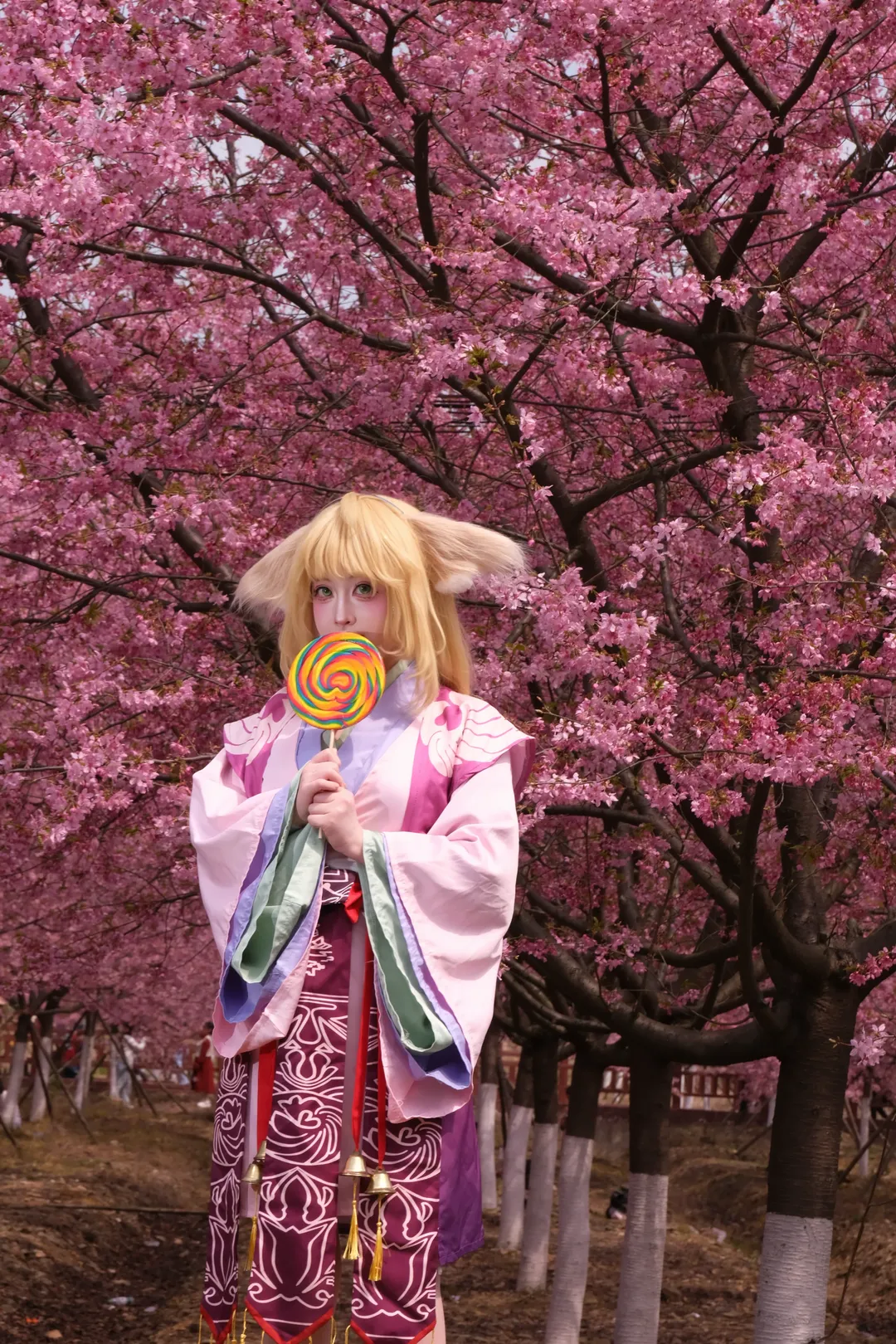 cos正片, 狐妖小红娘, 樱花季, 樱花写真, 涂山苏苏cos - 第3张
