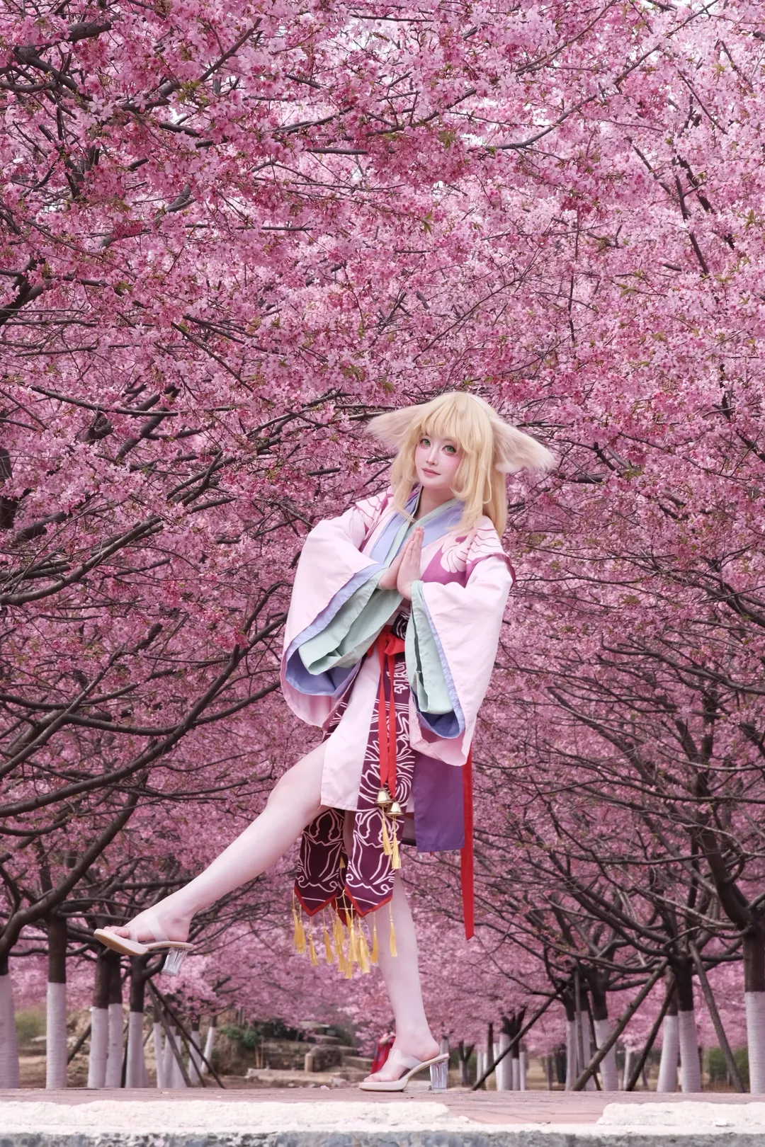 cos正片, 狐妖小红娘, 樱花季, 樱花写真, 涂山苏苏cos