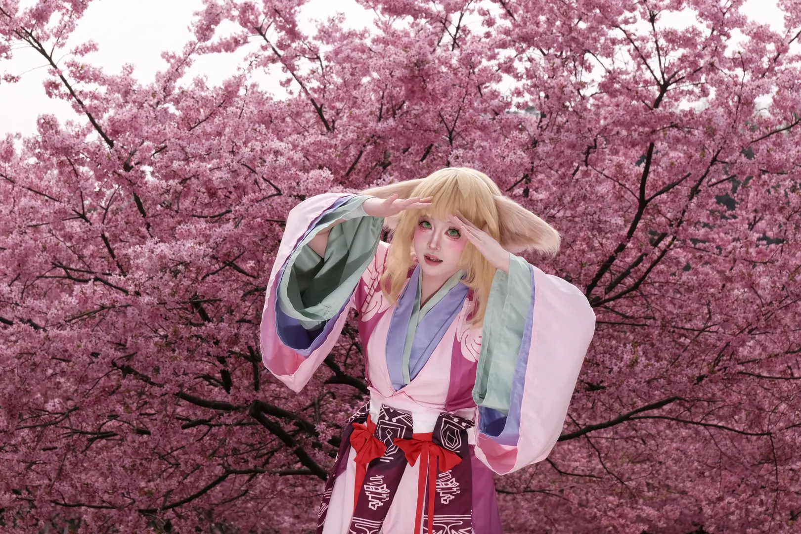 cos正片, 狐妖小红娘, 樱花季, 樱花写真, 涂山苏苏cos - 第6张