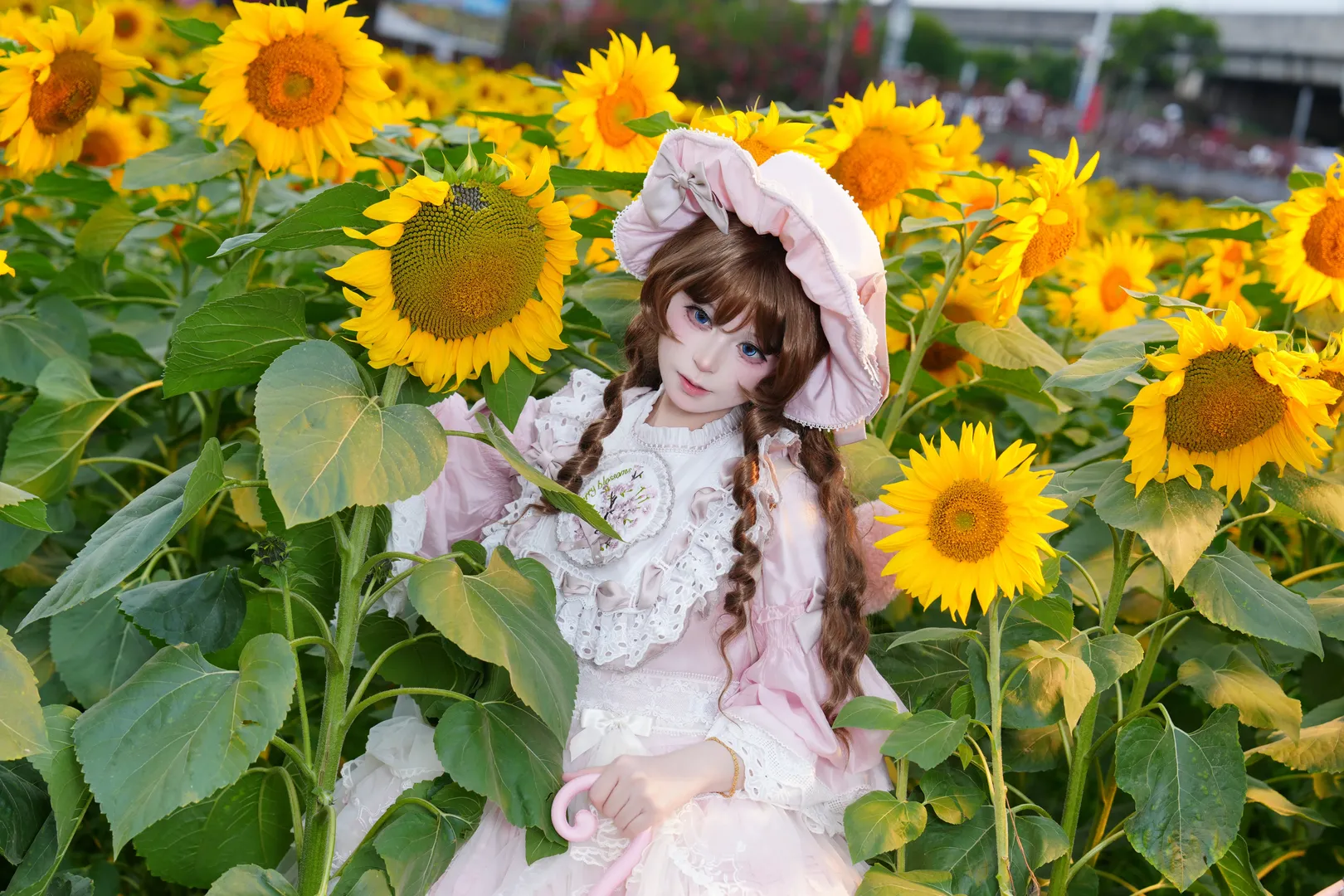 少女感, Cosplay分享, Lolita穿搭, 向日葵写真, 四时花
