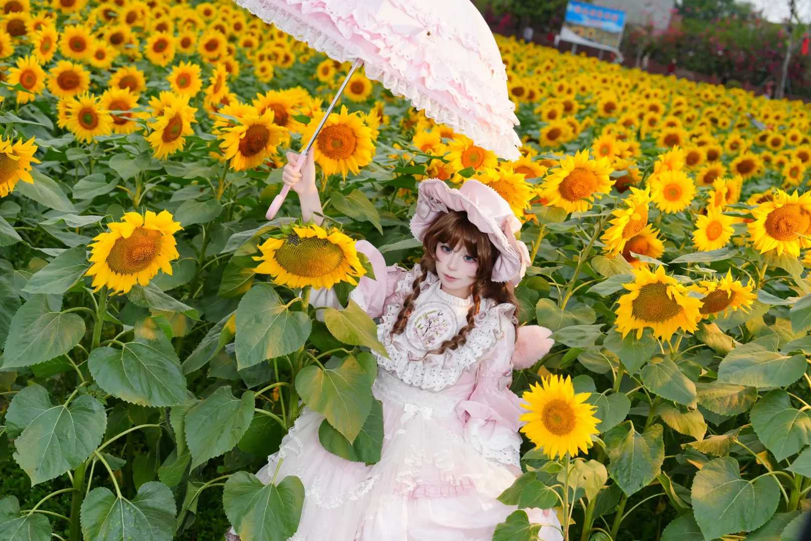 少女感, コスプレシェア, ロリコーデ, ひまわりポートレート, 四季の花 - 5枚目