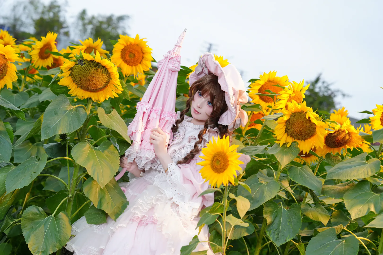 少女感, コスプレシェア, ロリコーデ, ひまわりポートレート, 四季の花 - 6枚目