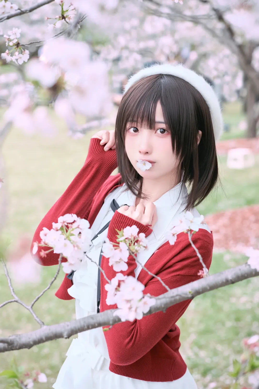 加藤恵コスプレ, コスプレ撮影, 桜フォトグラフ, 屋外ポートレート, モブヒロイン - 2枚目
