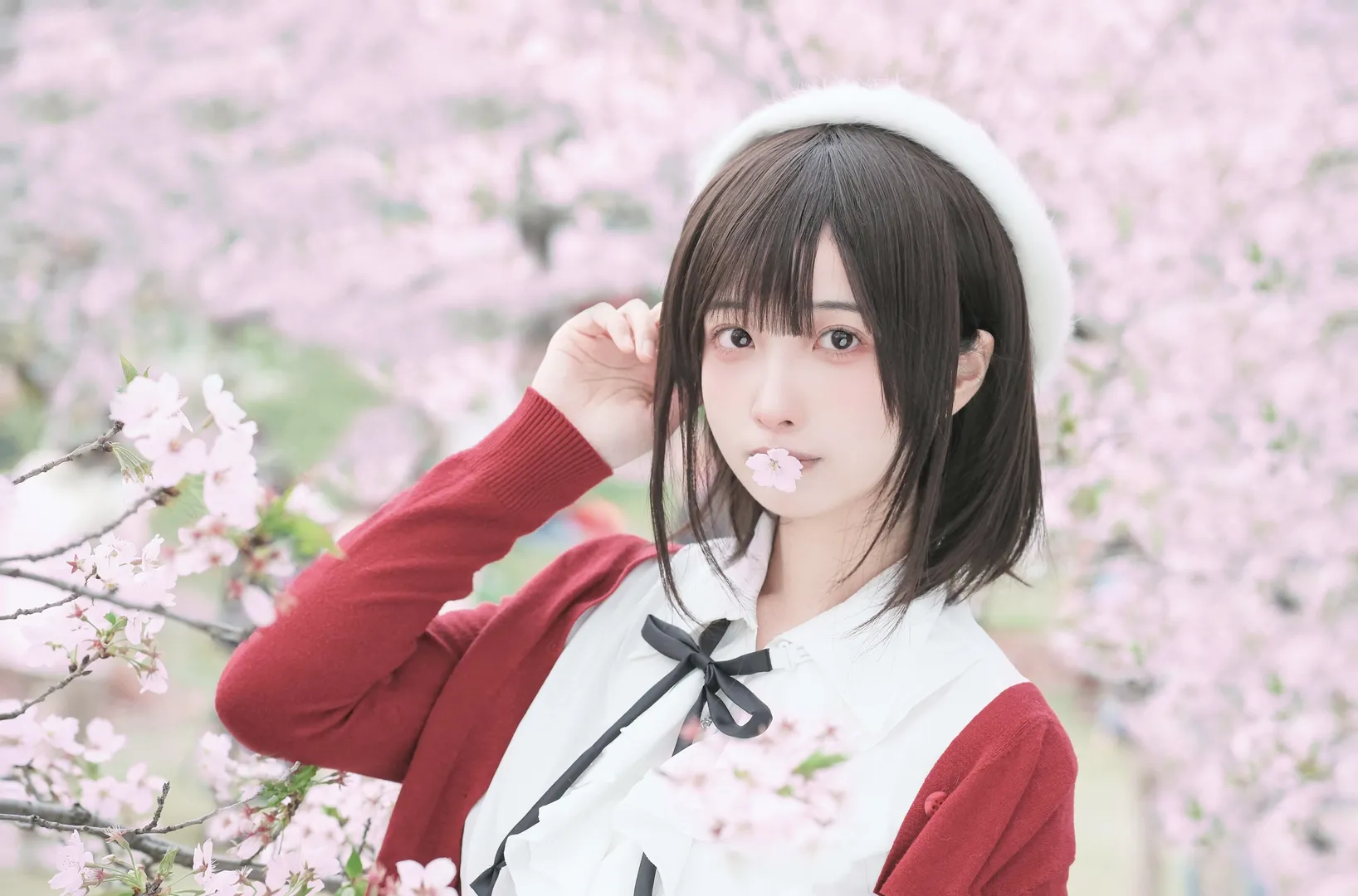 加藤恵コスプレ, コスプレ撮影, 桜フォトグラフ, 屋外ポートレート, モブヒロイン - 4枚目