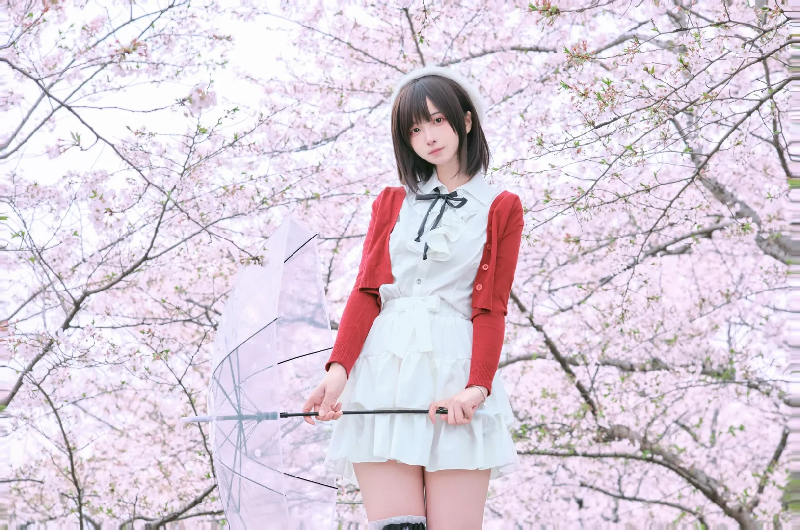 コスプレ, 桜撮影, 加藤恵コスプレ, 冴えない彼女の育てかた, 富士フイルムのカメラ - 3枚目