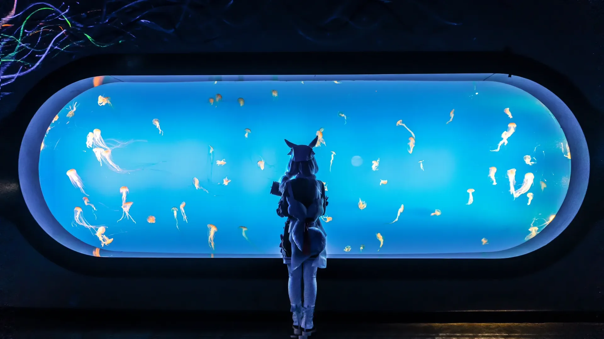 原神, 希格雯cos, 二次元cosplay, 水族馆摄影, 南京海底世界 - 第6张
