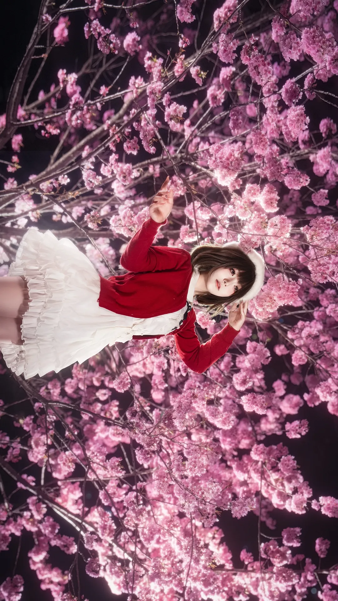 二次元cosplay, 加藤惠cos, 路人女主的养成方法, 夜景摄影, 夜樱人像 - 第2张