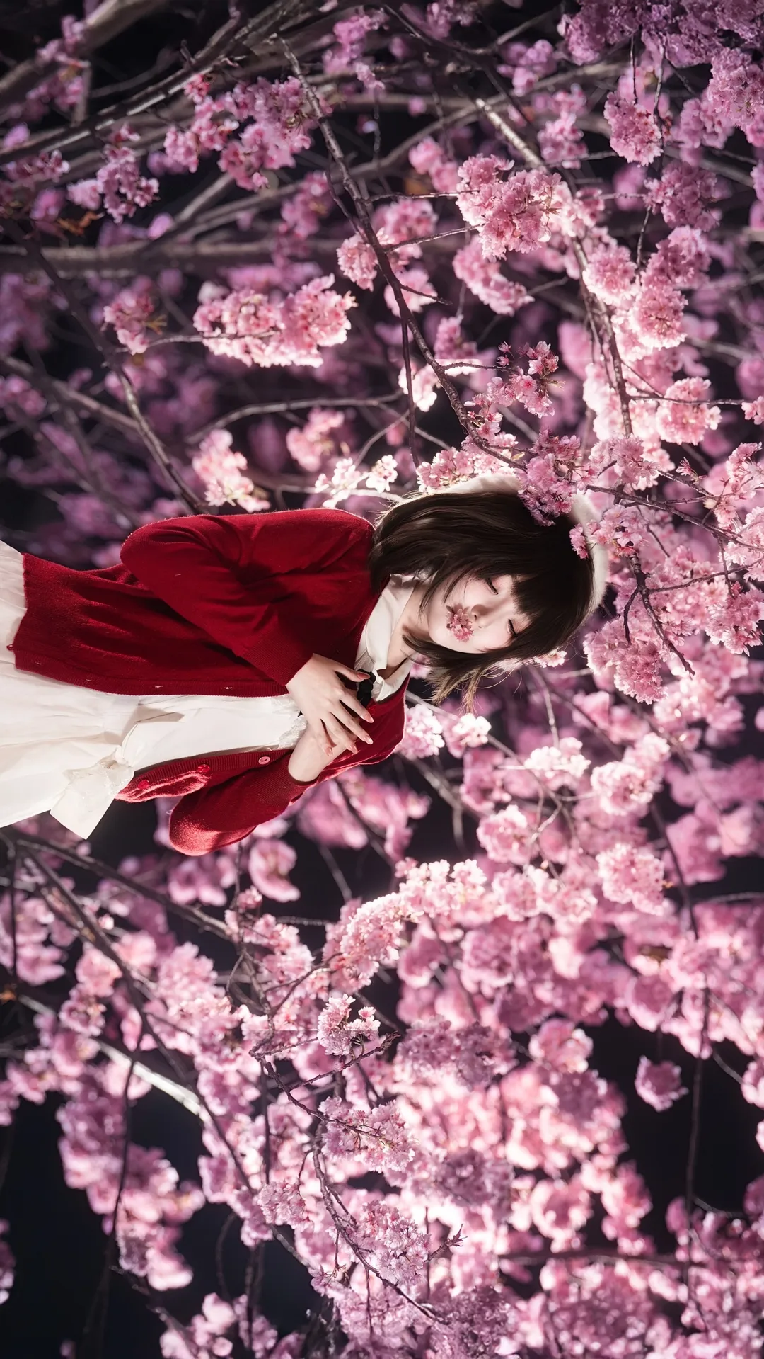 二次元cosplay, 加藤惠cos, 路人女主的养成方法, 夜景摄影, 夜樱人像 - 第4张