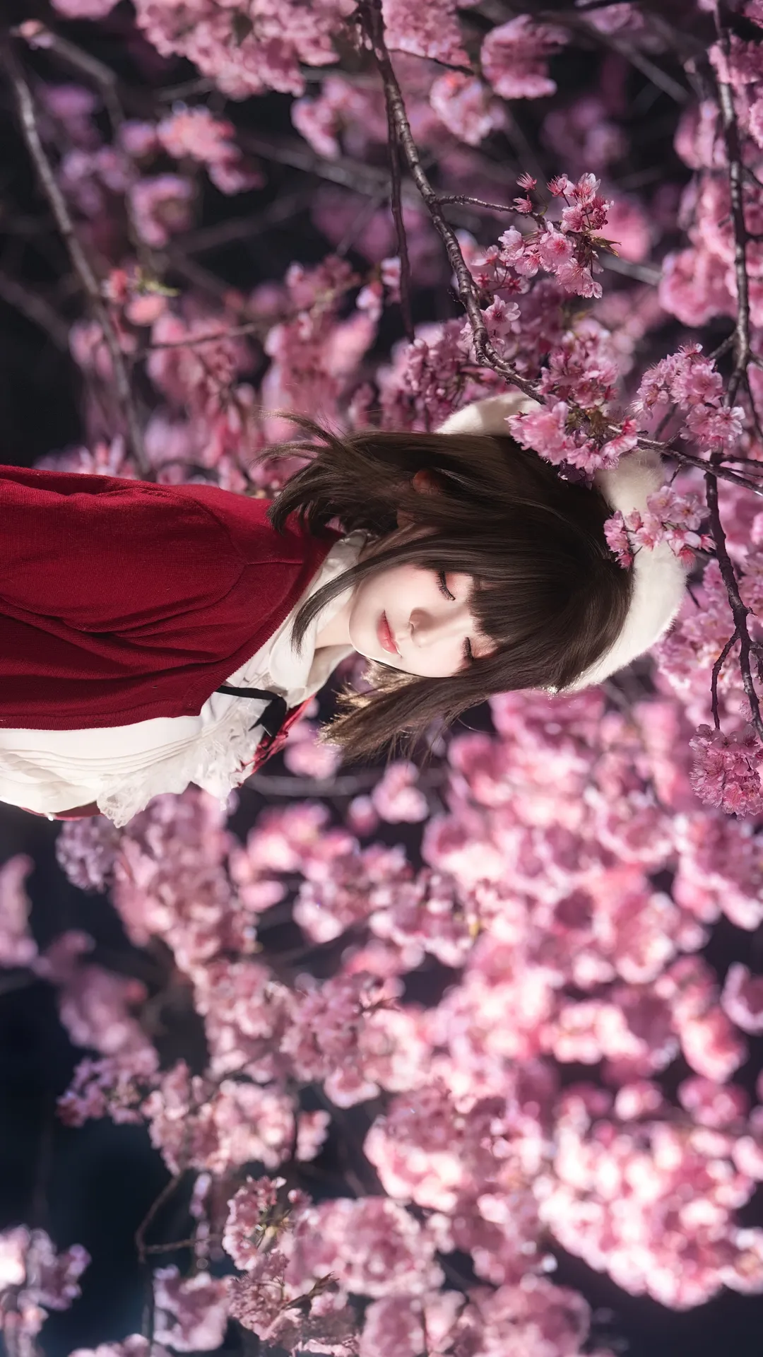 二次元cosplay, 加藤惠cos, 路人女主的养成方法, 夜景摄影, 夜樱人像 - 第6张