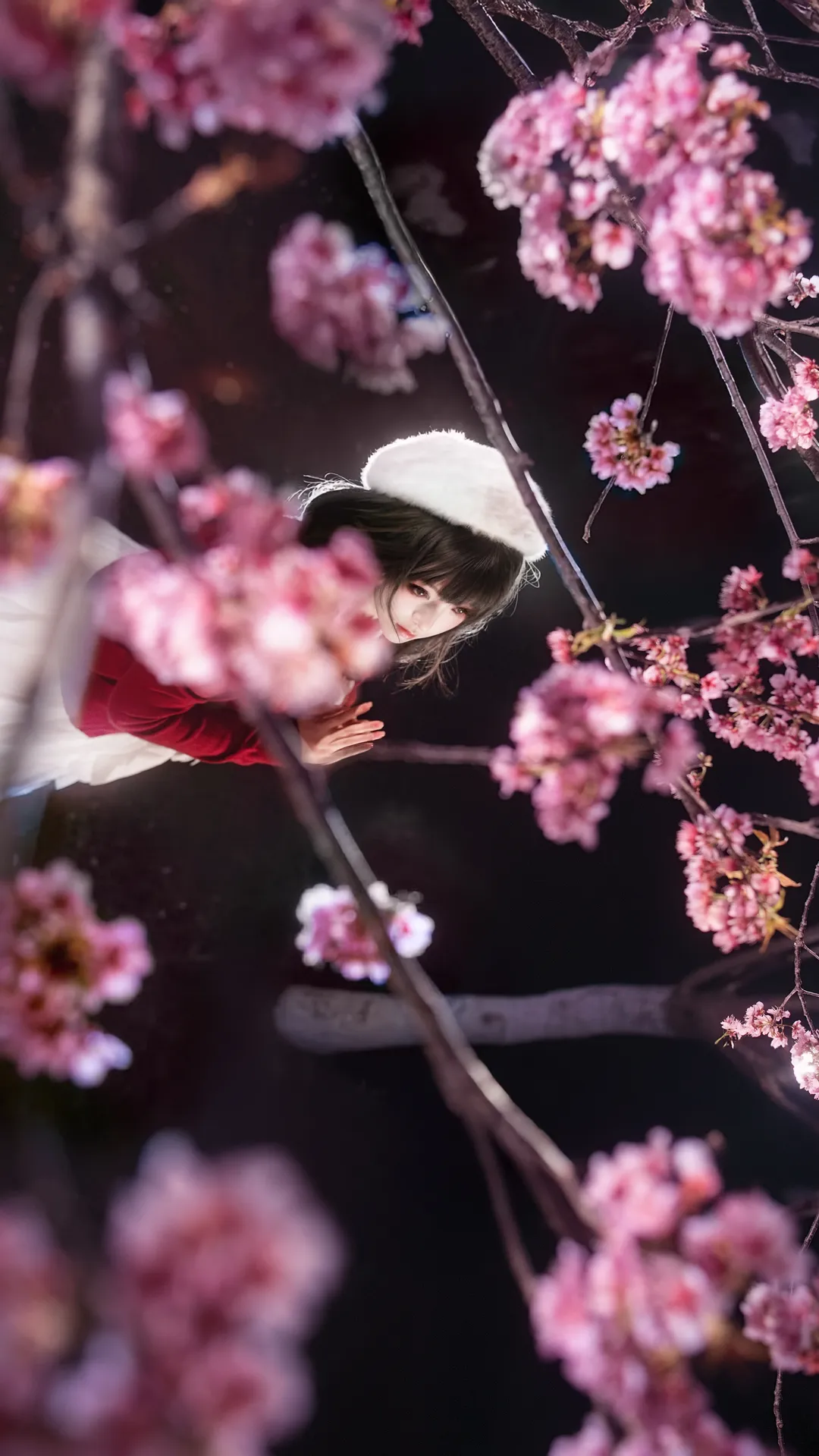 二次元cosplay, 加藤惠cos, 路人女主的养成方法, 夜景摄影, 夜樱人像 - 第8张