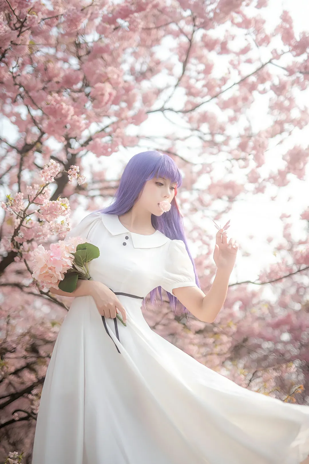 间桐樱cos, cosplay正片, fate, 樱花人像, 重庆拍照 - 第1张