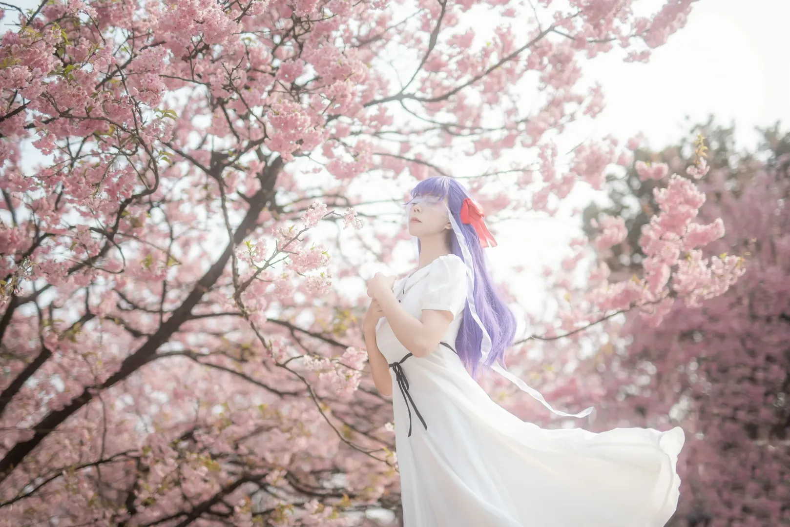 间桐樱cos, cosplay正片, fate, 樱花人像, 重庆拍照 - 第2张