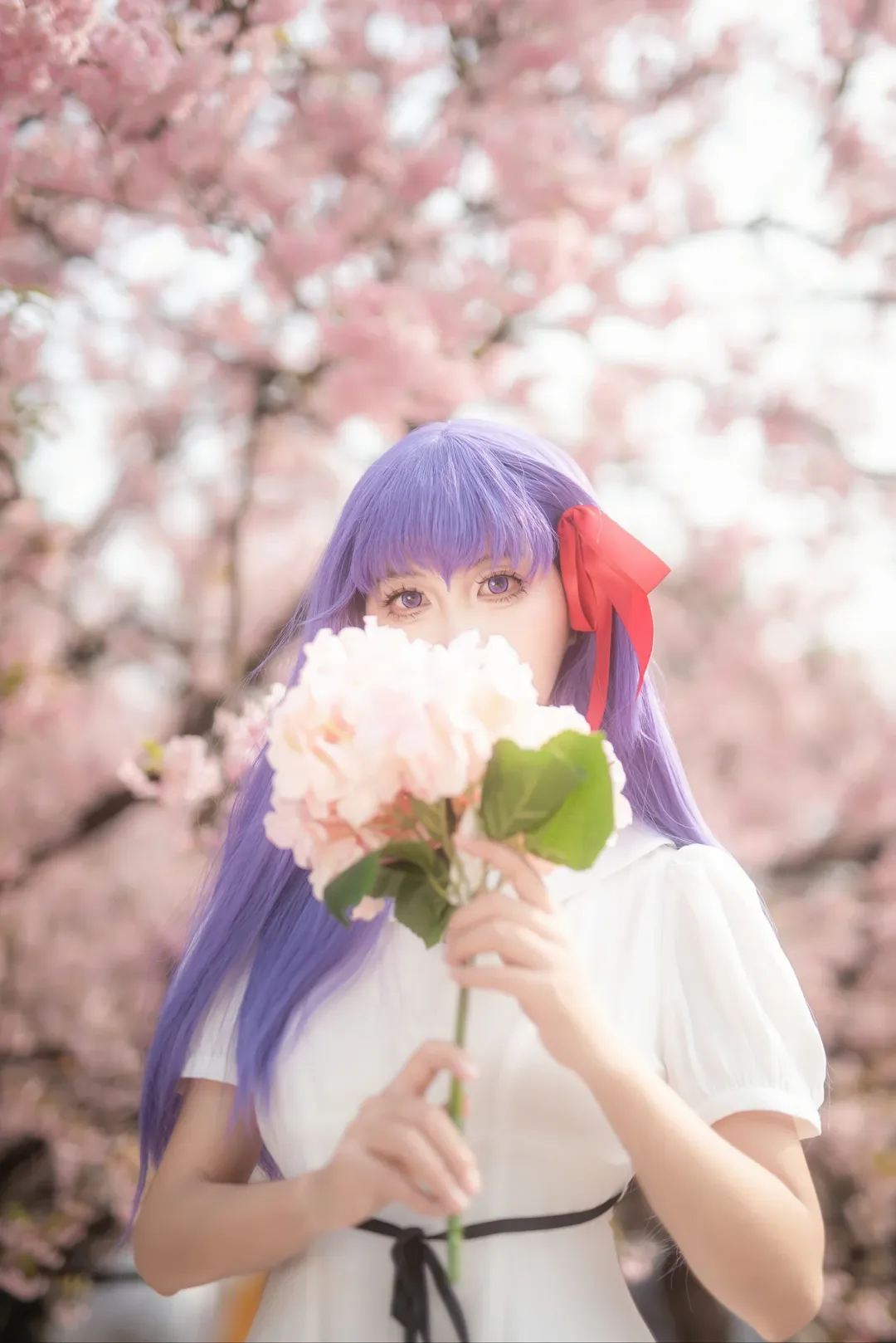 间桐樱cos, cosplay正片, fate, 樱花人像, 重庆拍照