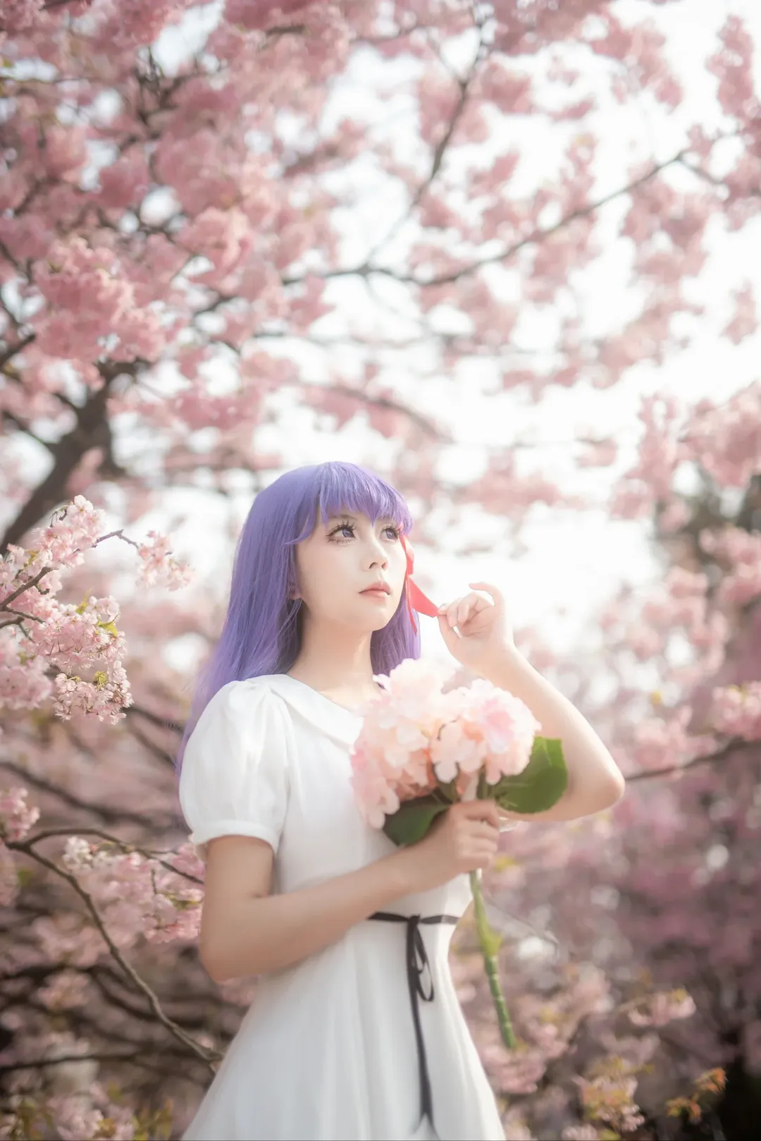 间桐樱cos, cosplay正片, fate, 樱花人像, 重庆拍照 - 第4张