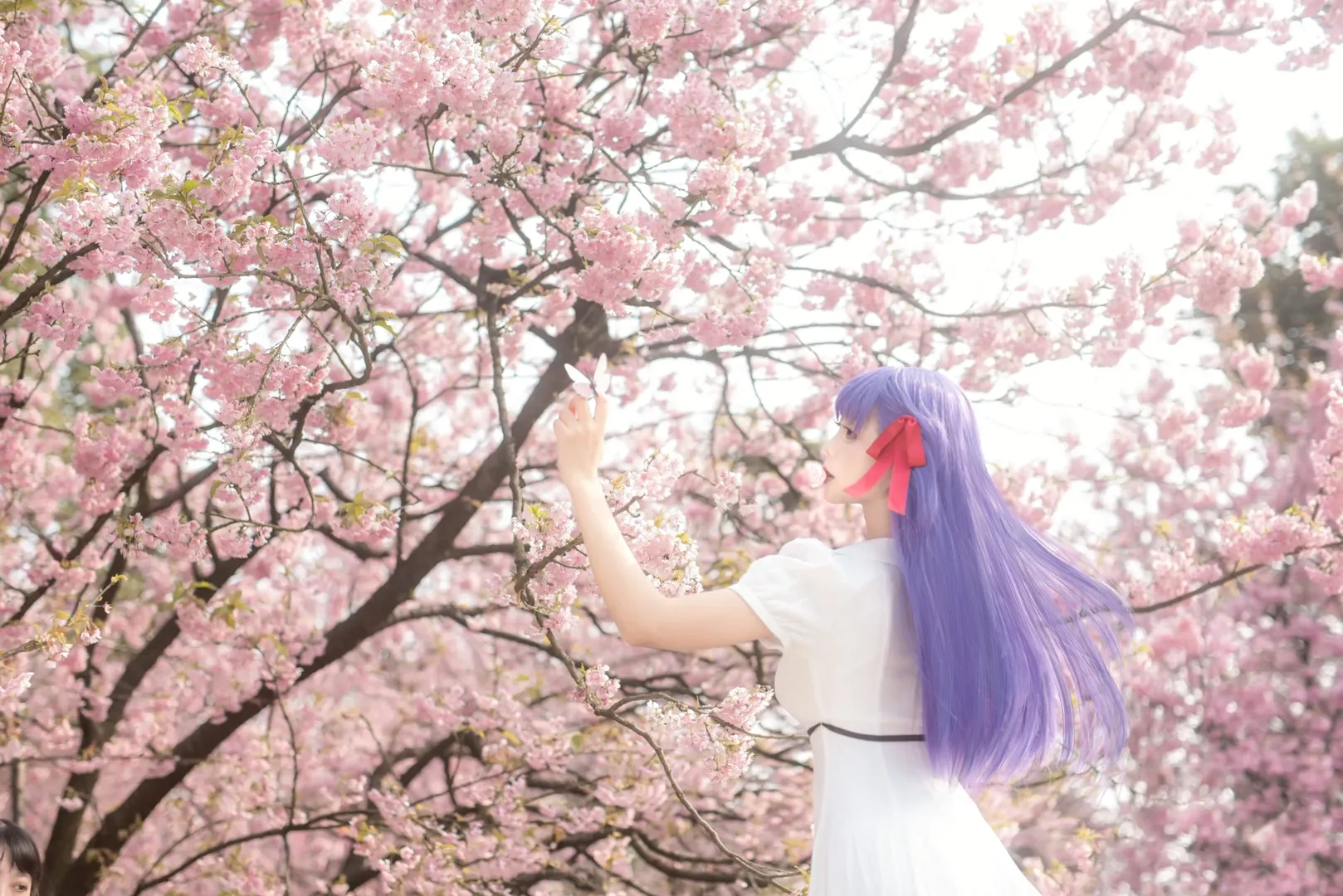 间桐樱cos, cosplay正片, fate, 樱花人像, 重庆拍照 - 第5张