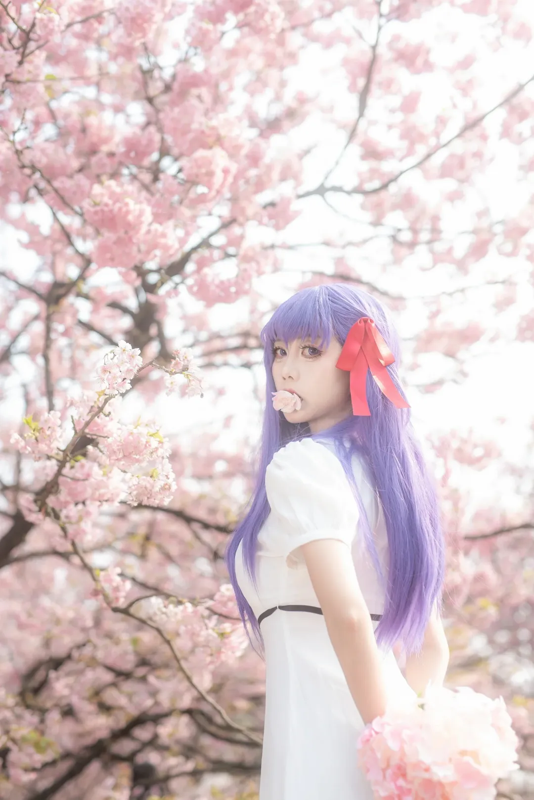 间桐樱cos, cosplay正片, fate, 樱花人像, 重庆拍照 - 第6张