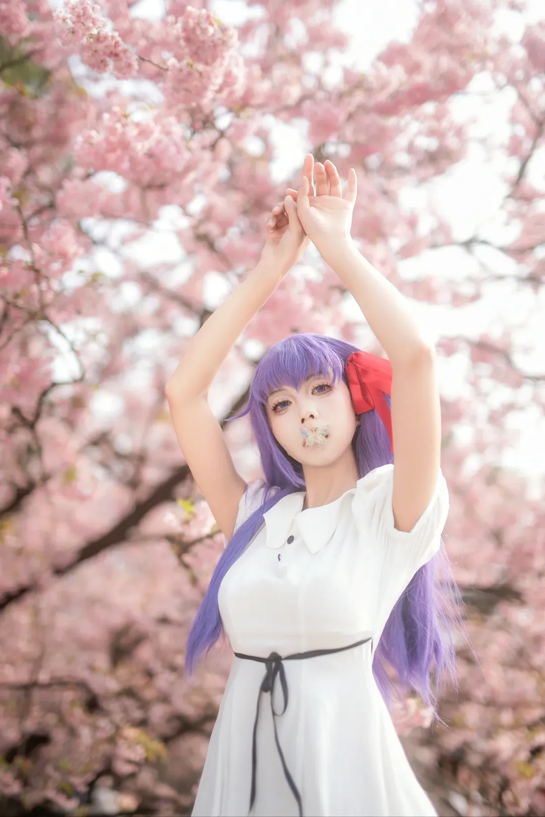 间桐樱cos, cosplay正片, fate, 樱花人像, 重庆拍照 - 第7张