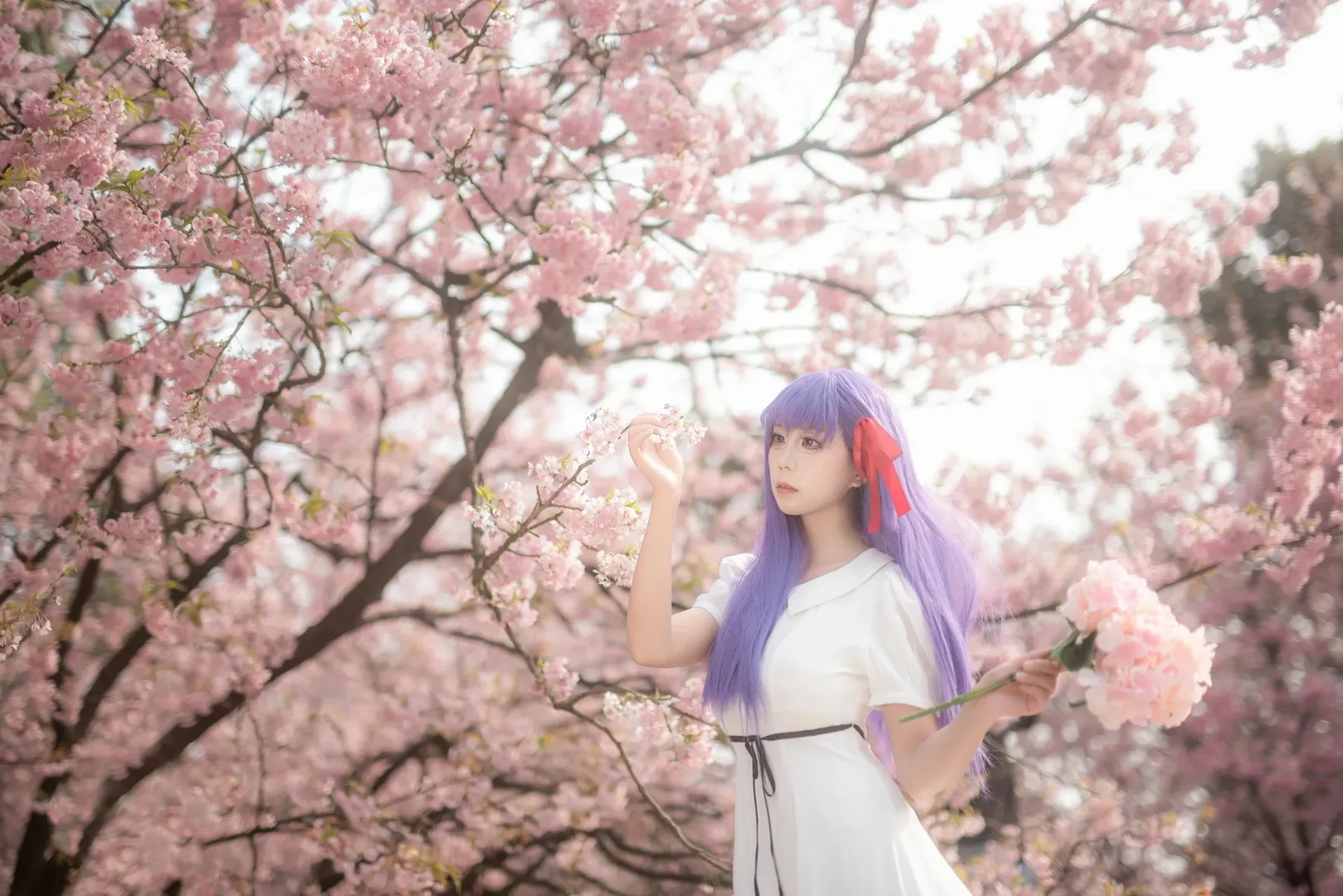 间桐樱cos, cosplay正片, fate, 樱花人像, 重庆拍照 - 第8张