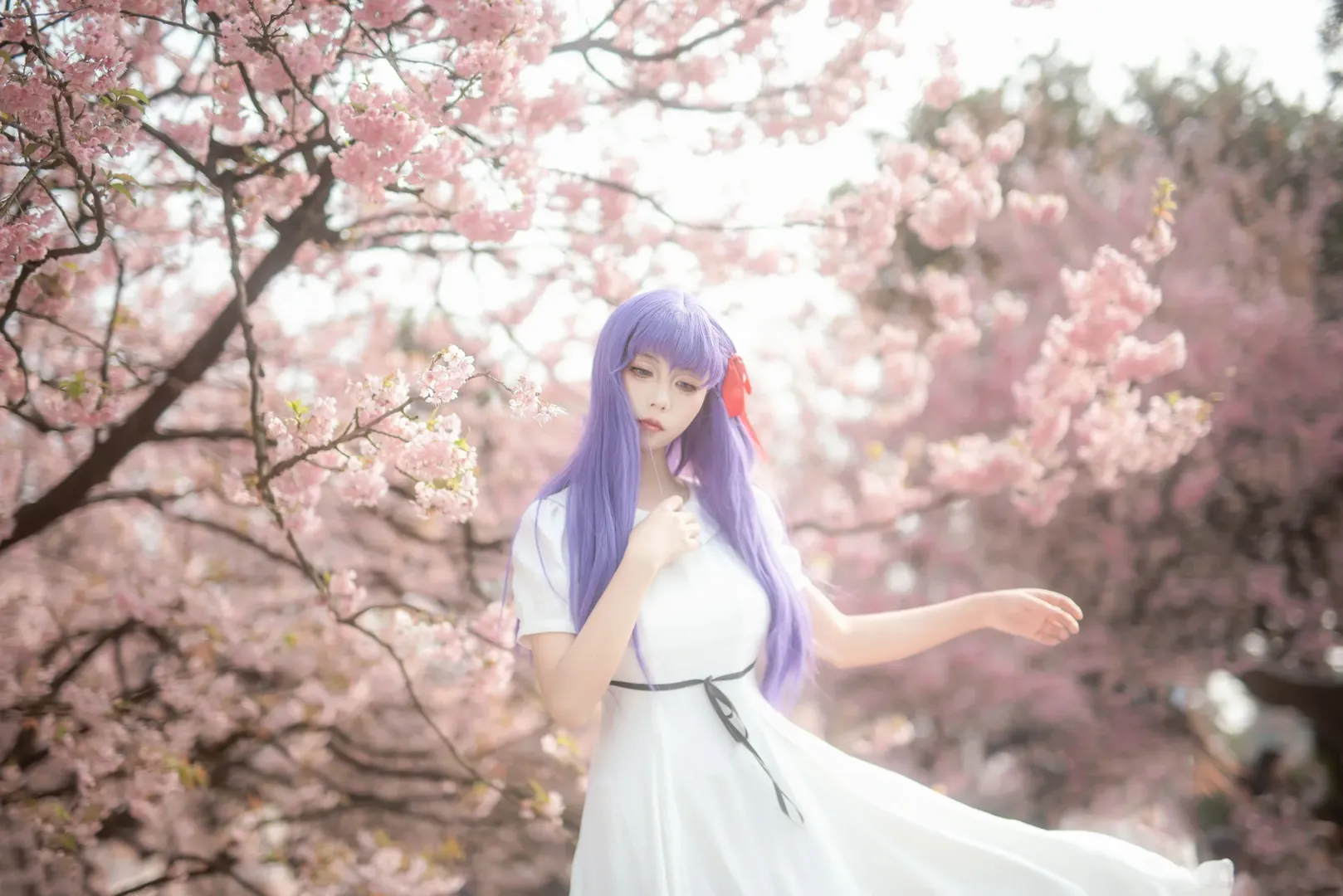 间桐樱cos, cosplay正片, fate, 樱花人像, 重庆拍照 - 第9张