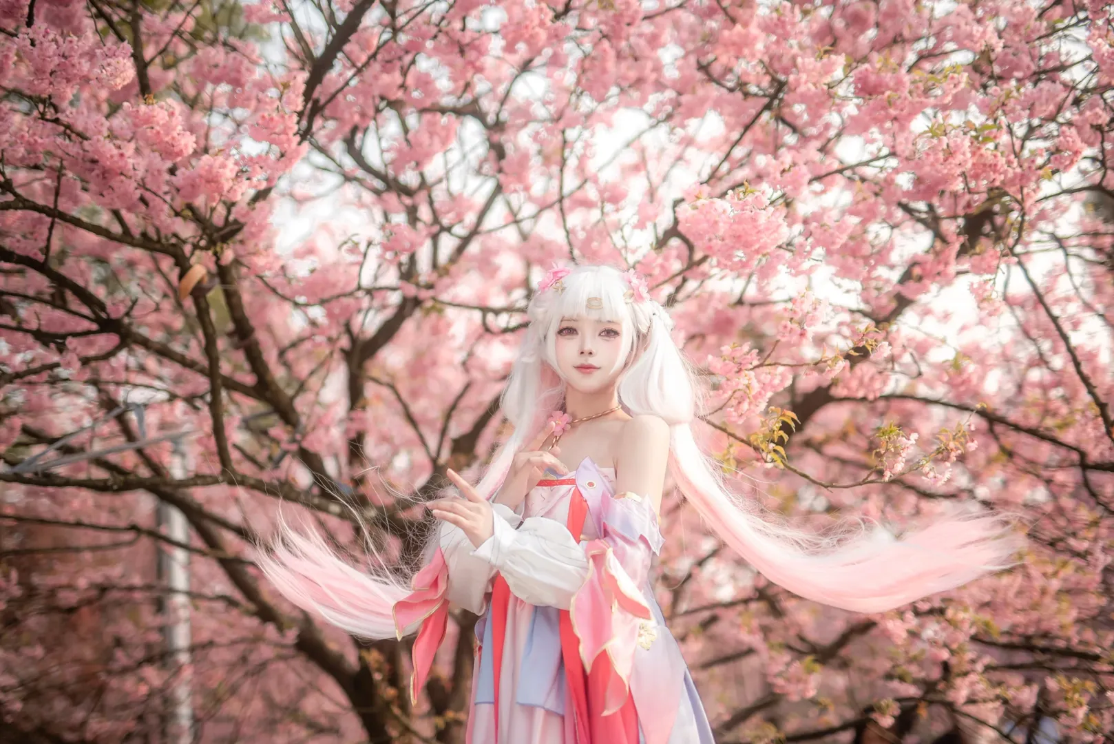 鸣潮, 二次元摄影, 今汐cos, Cosplay正片, 樱花人像