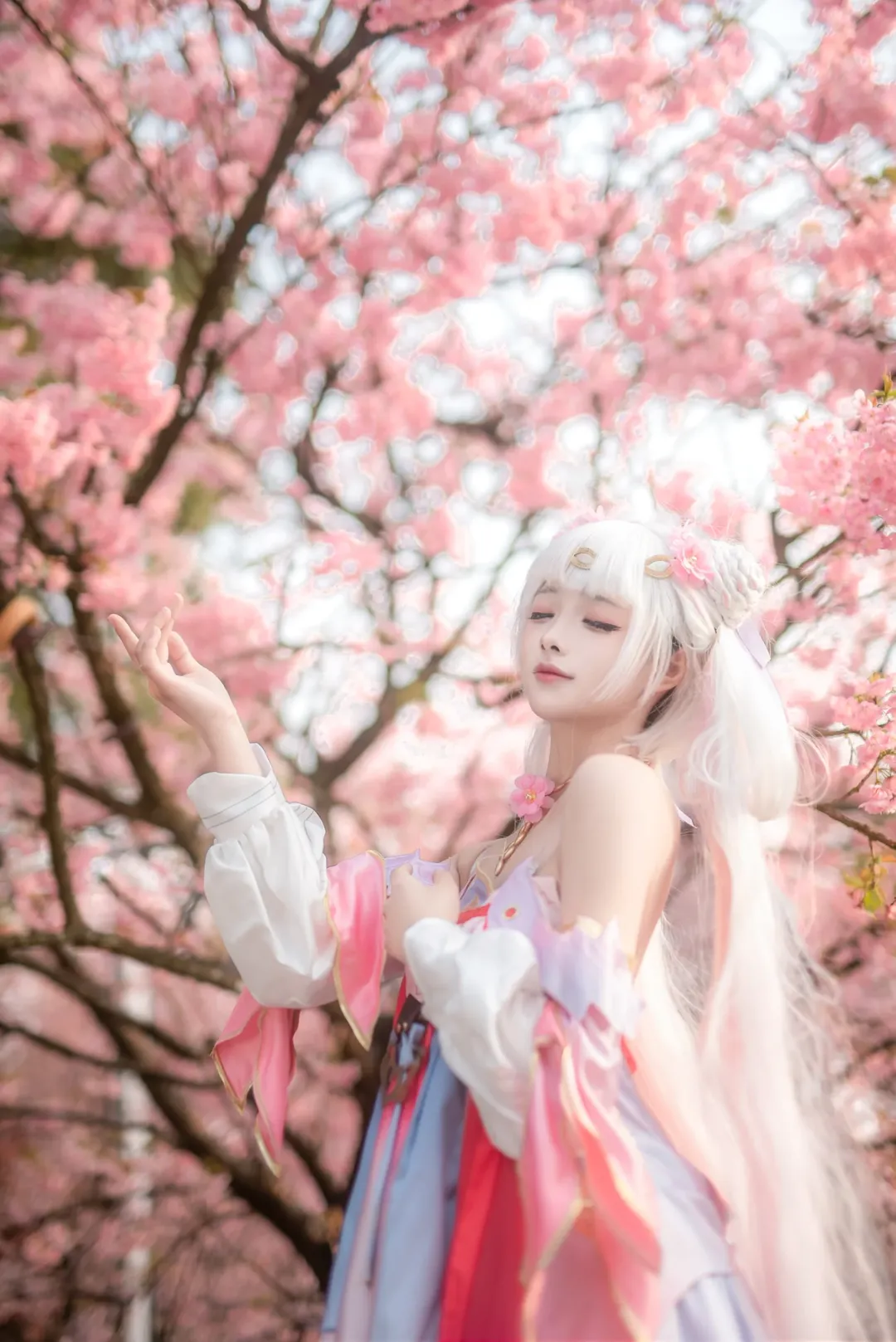 鳴潮, 二次元撮影, 今汐コスプレ, コスプレ写真, 桜のポートレート - 5枚目