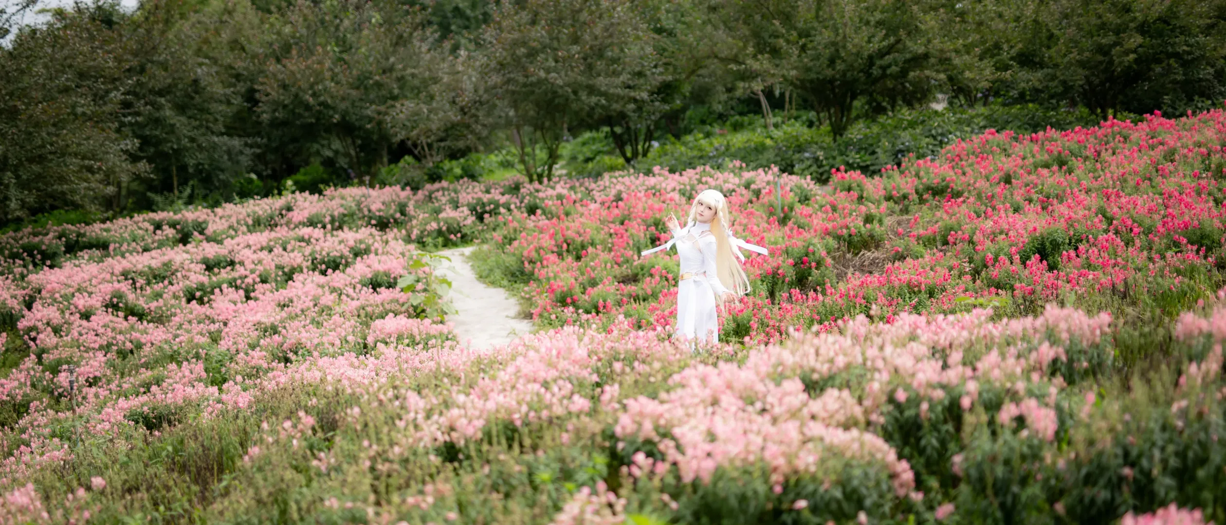 コスプレ写真, ポートレート, 花畑撮影, マキアコスプレ, さよならの朝に約束の花をかざろう - 14枚目