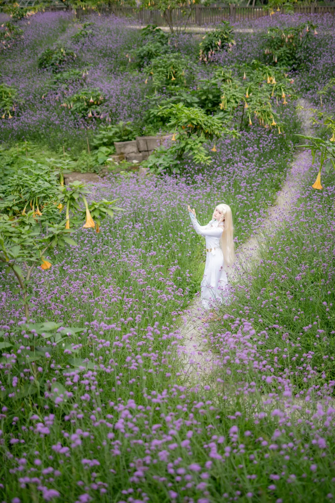 コスプレ写真, ポートレート, 花畑撮影, マキアコスプレ, さよならの朝に約束の花をかざろう - 16枚目