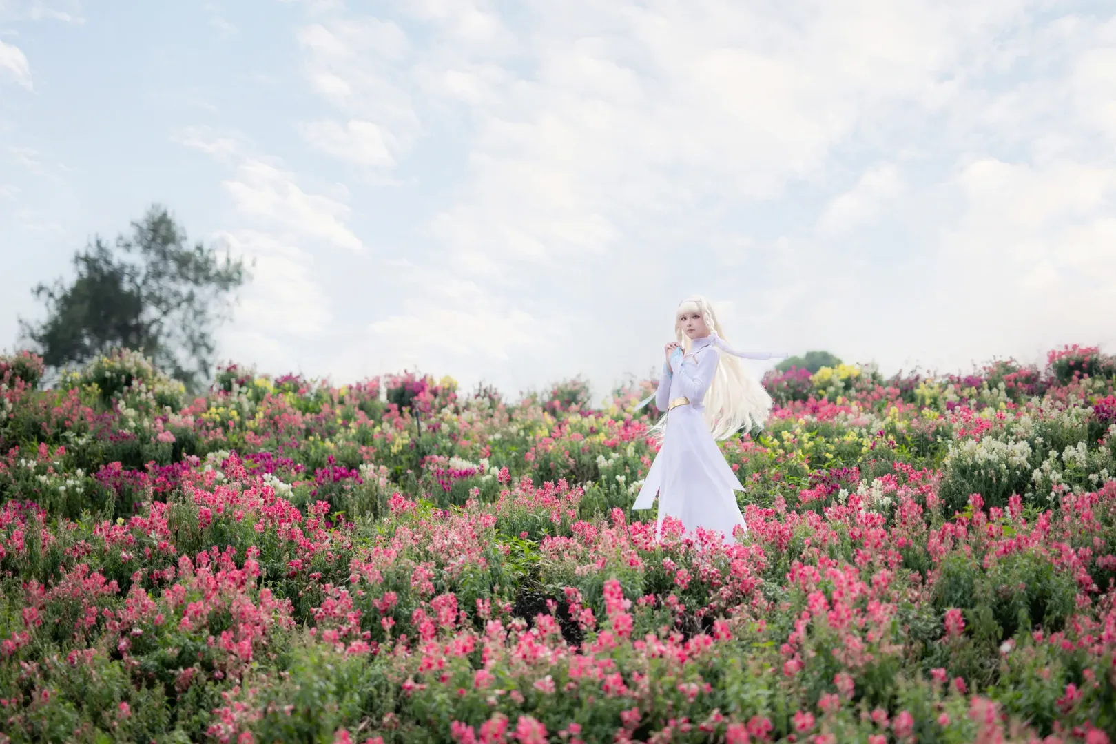 コスプレ写真, ポートレート, 花畑撮影, マキアコスプレ, さよならの朝に約束の花をかざろう - 5枚目