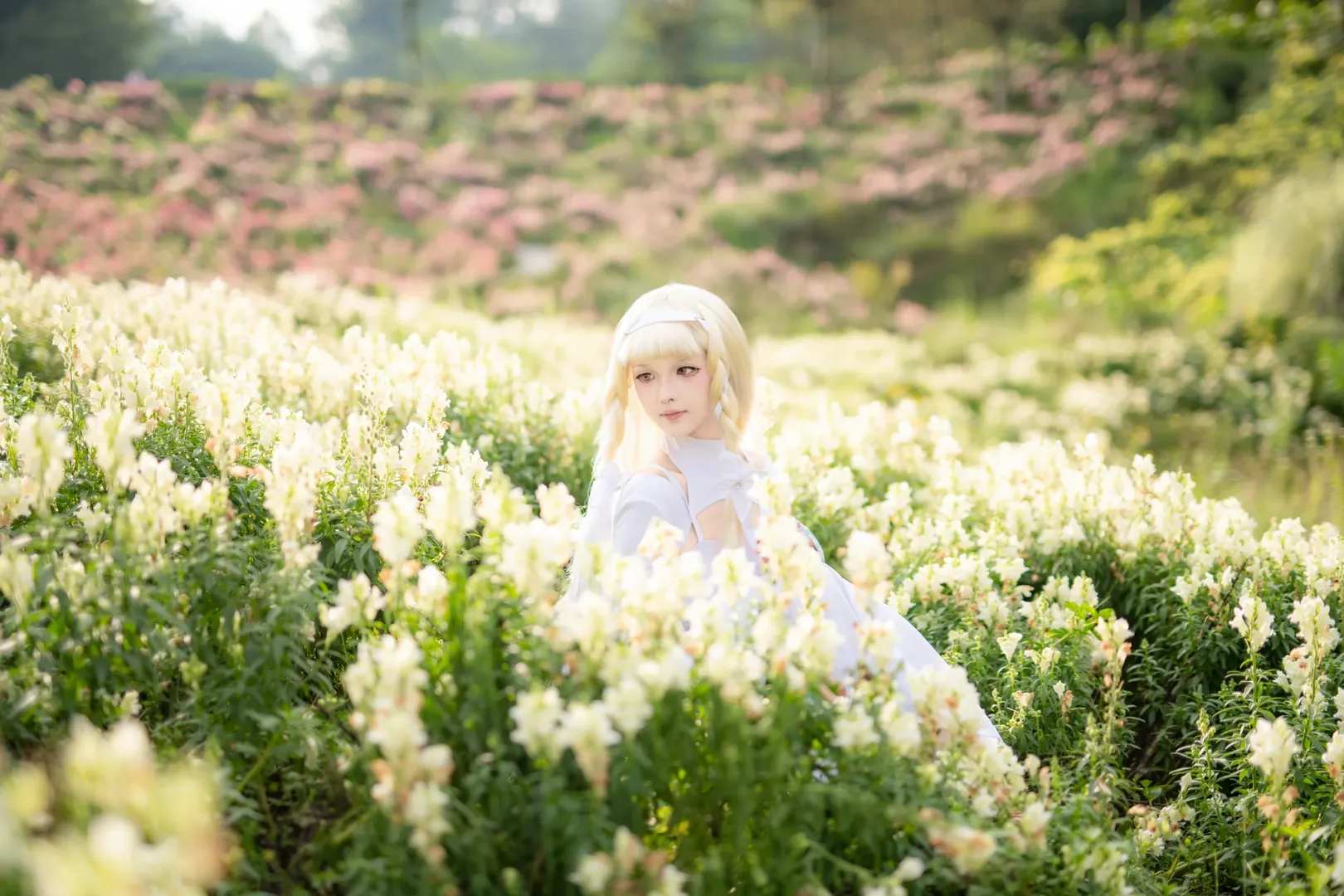 コスプレ写真, ポートレート, 花畑撮影, マキアコスプレ, さよならの朝に約束の花をかざろう - 9枚目