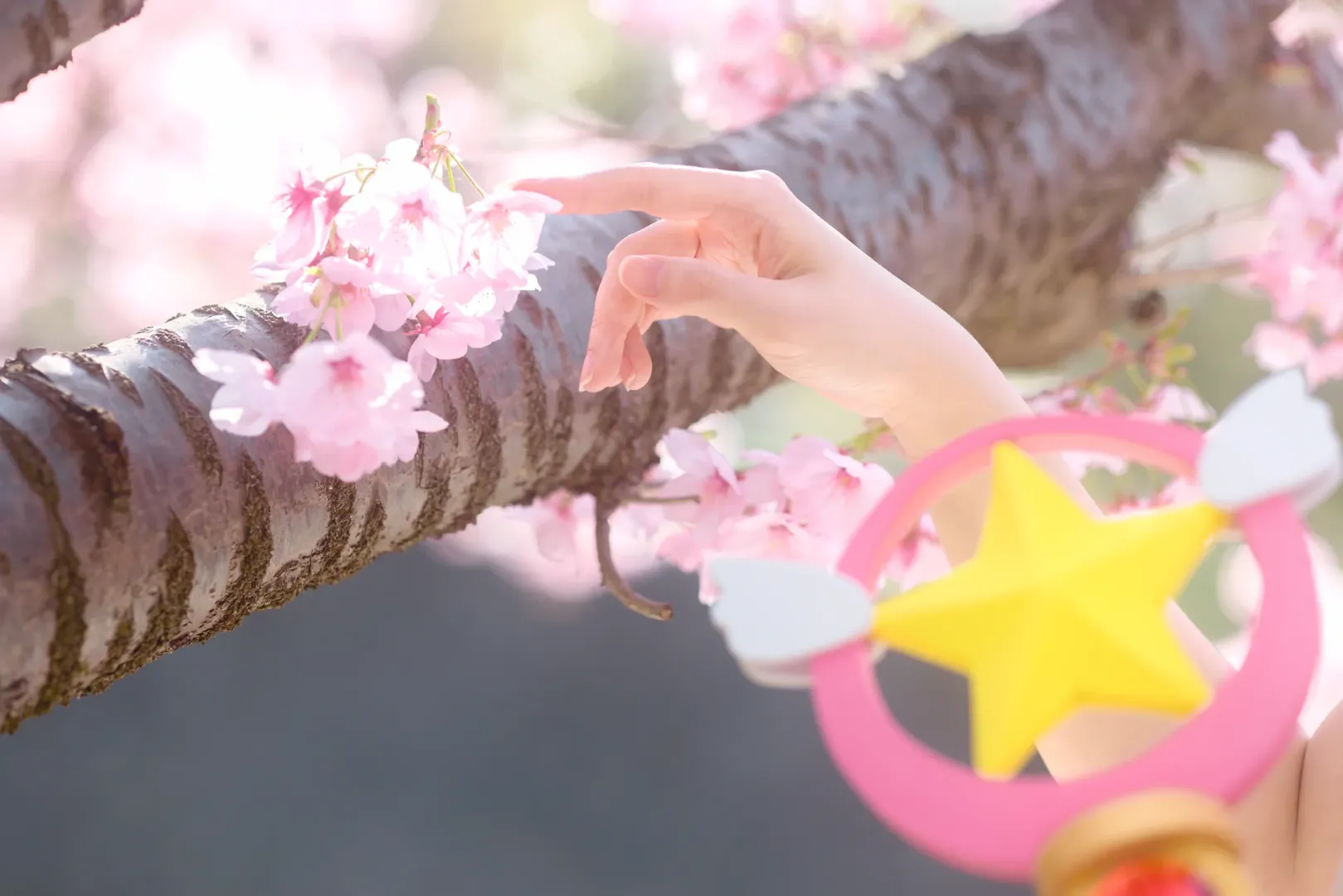 二次元少女, 木之本樱cos, 魔卡少女樱, 樱花季cos, 春天氛围感 - 第5张