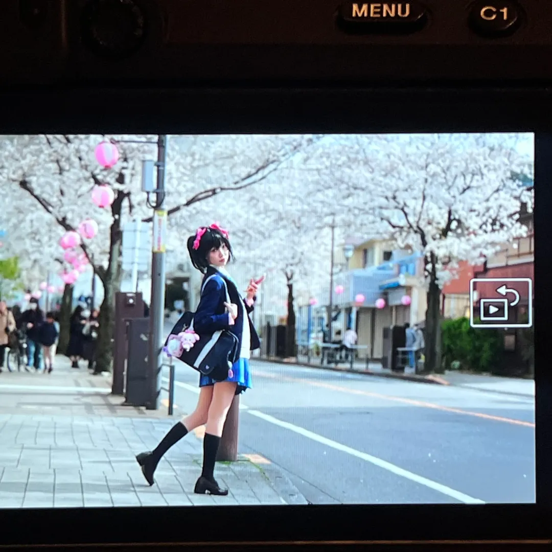 JK制服, LoveLive, 樱花外景, 矢泽妮可cos, 校园偶像 - 第7张