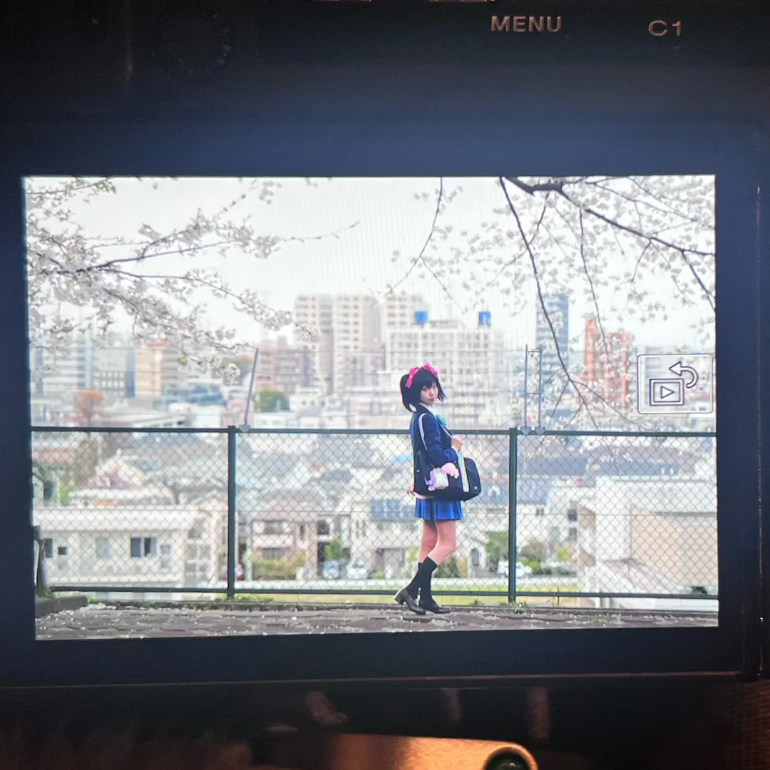 JK制服, LoveLive, 樱花外景, 矢泽妮可cos, 校园偶像 - 第8张