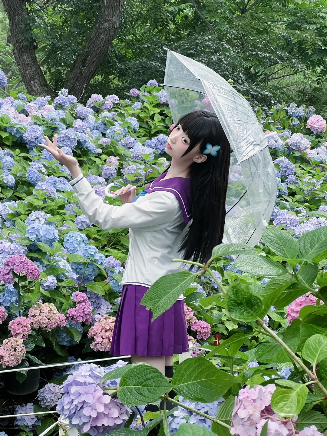 夏日写真, 散华礼弥cos, 散华礼弥, 绣球花海, 雨中氛围感 - 第1张