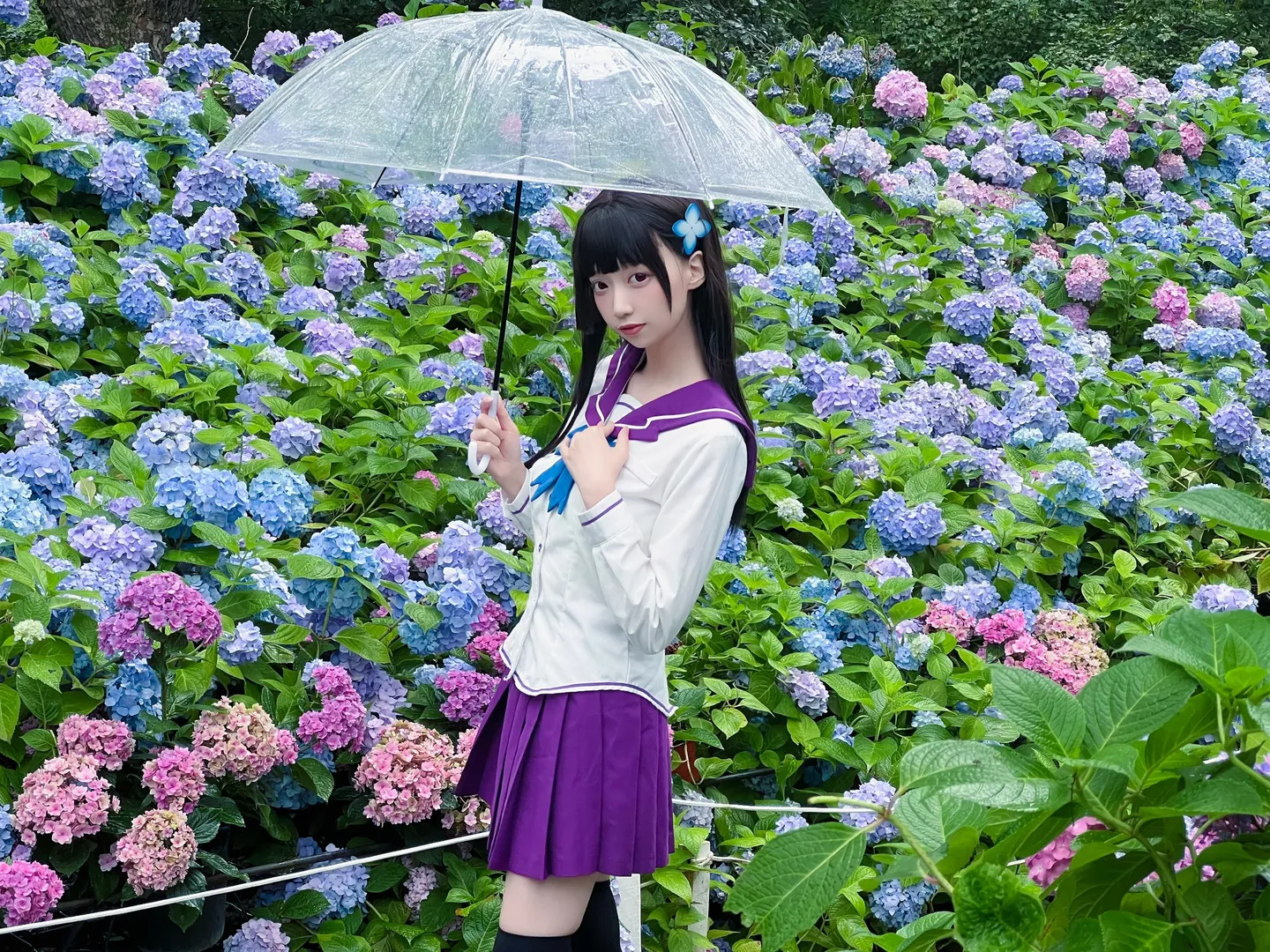 夏日写真, 散华礼弥cos, 散华礼弥, 绣球花海, 雨中氛围感 - 第2张