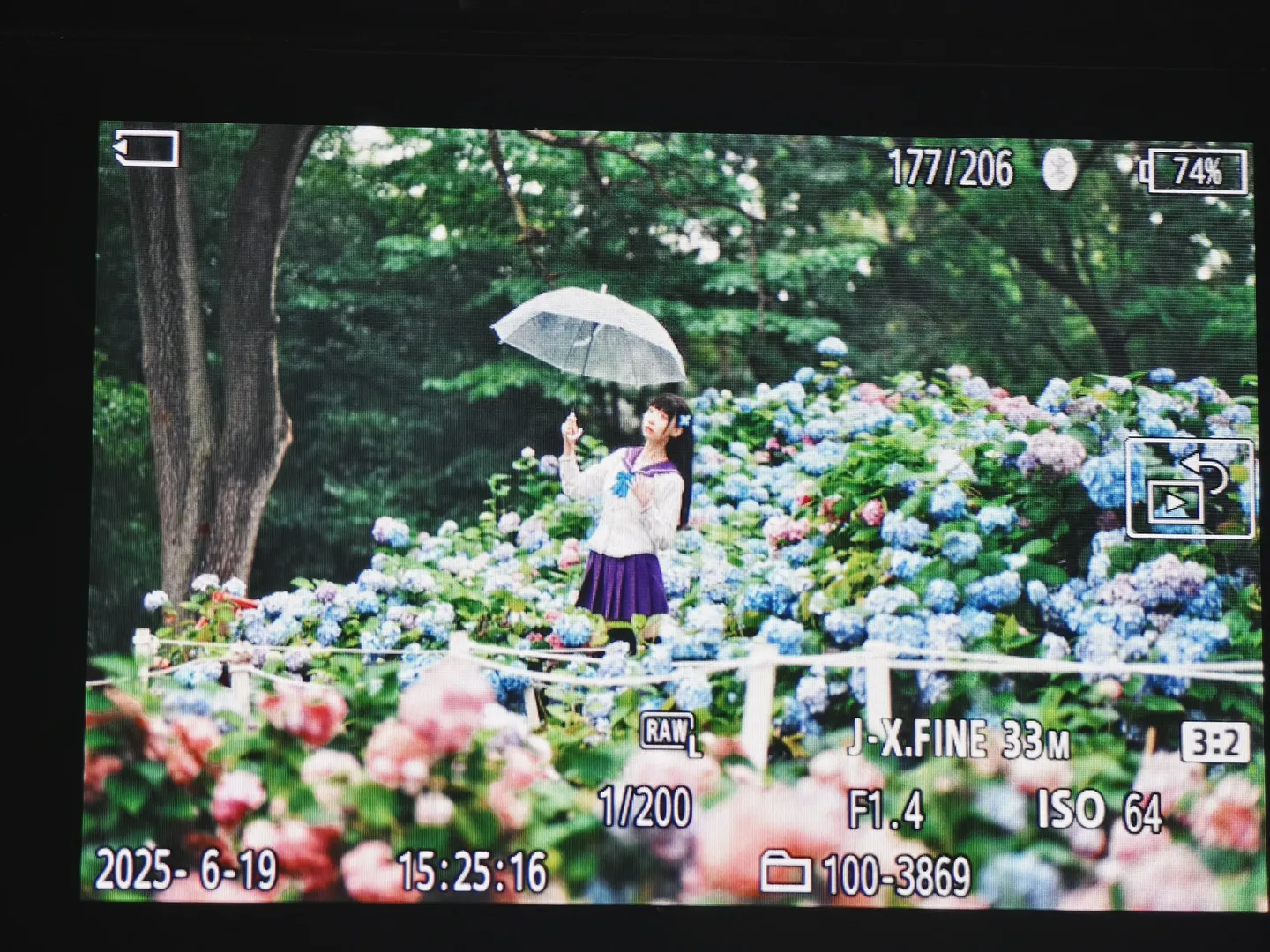 夏日写真, 散华礼弥cos, 散华礼弥, 绣球花海, 雨中氛围感 - 第8张