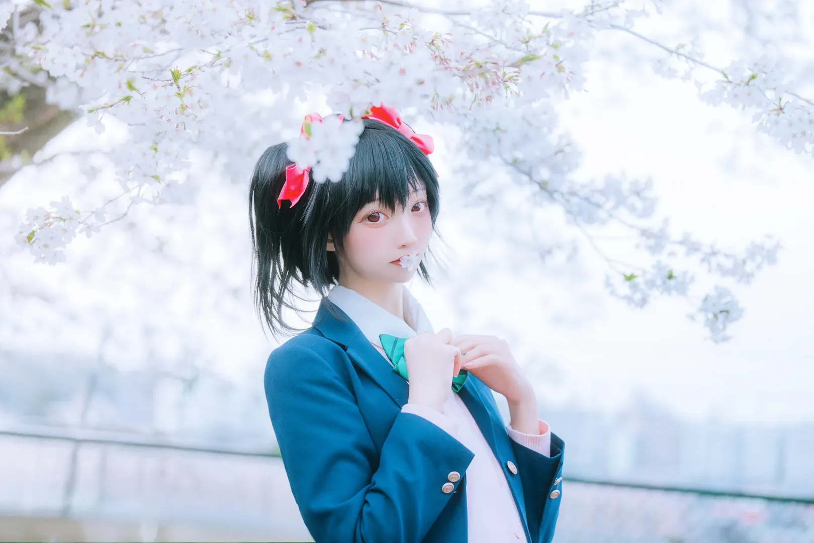 ラブライブ!, 矢澤にこ コスプレ, 桜の季節のコスプレ, 学園アイドル, 日系JKストリートスナップ - 4枚目