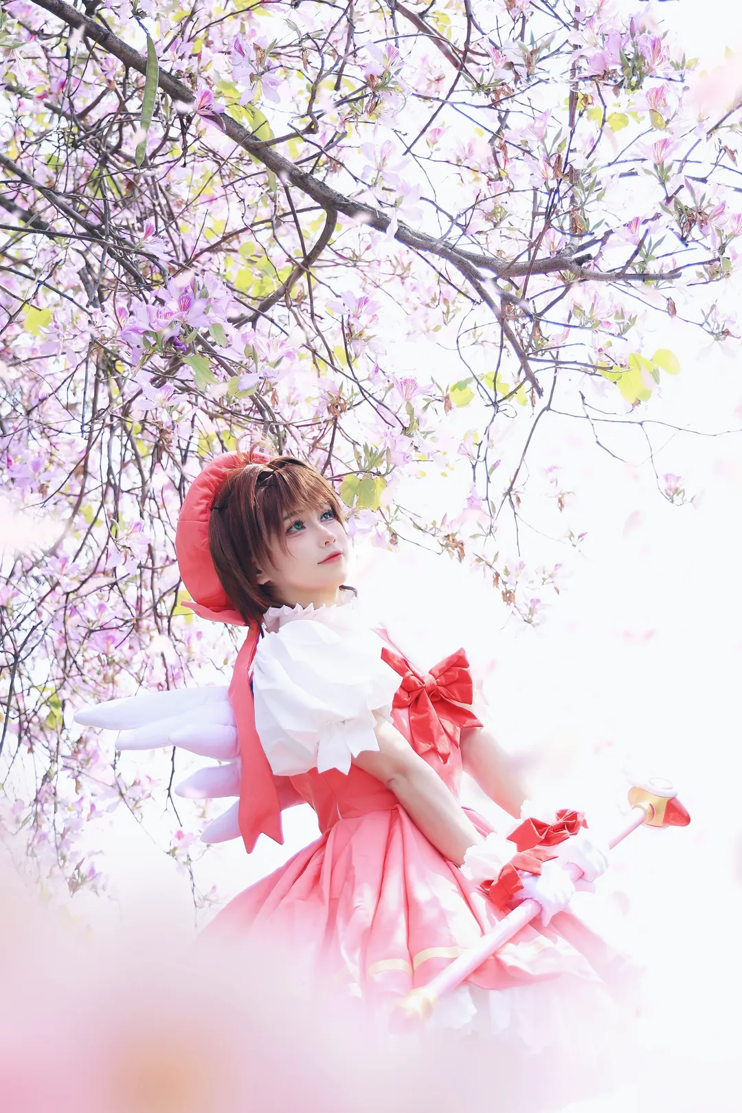 魔法少女, 木之本樱cos, 魔卡少女樱, 外景摄影, cosplay正片 - 第6张
