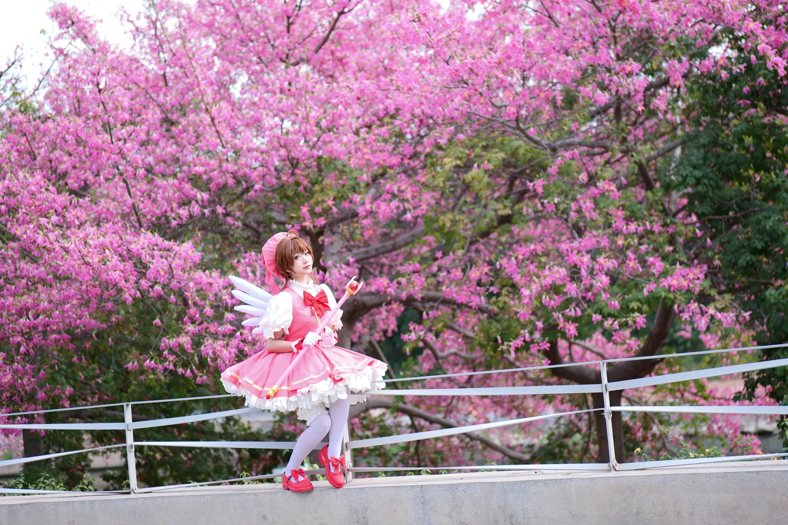 户外摄影, 木之本樱cos, 魔卡少女樱, 春日拍照, 东莞拍照 - 第11张