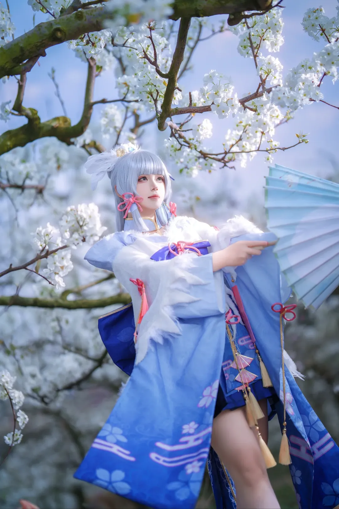 原神, 二次元cosplay, 神里绫华cos, 和风服装, 外景摄影 - 第1张