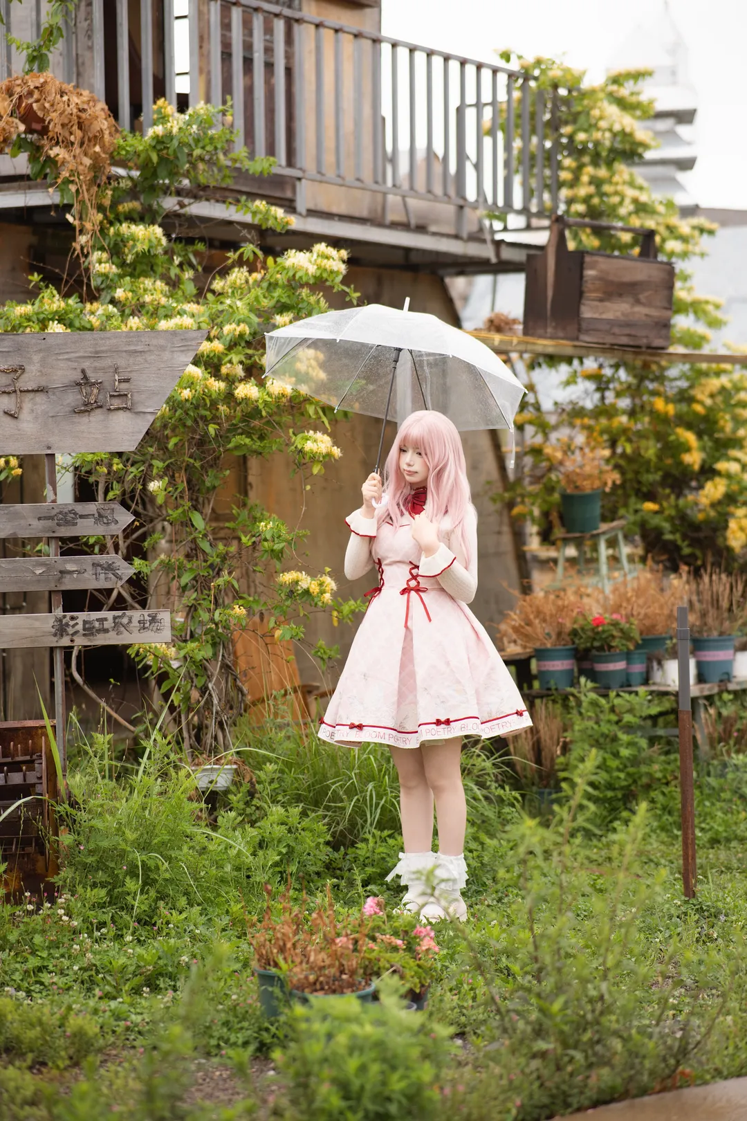 二次元コスプレ, ニキ コスプレ, 屋外ポートレート, 田園風撮影, シャイニングニキ - 2枚目