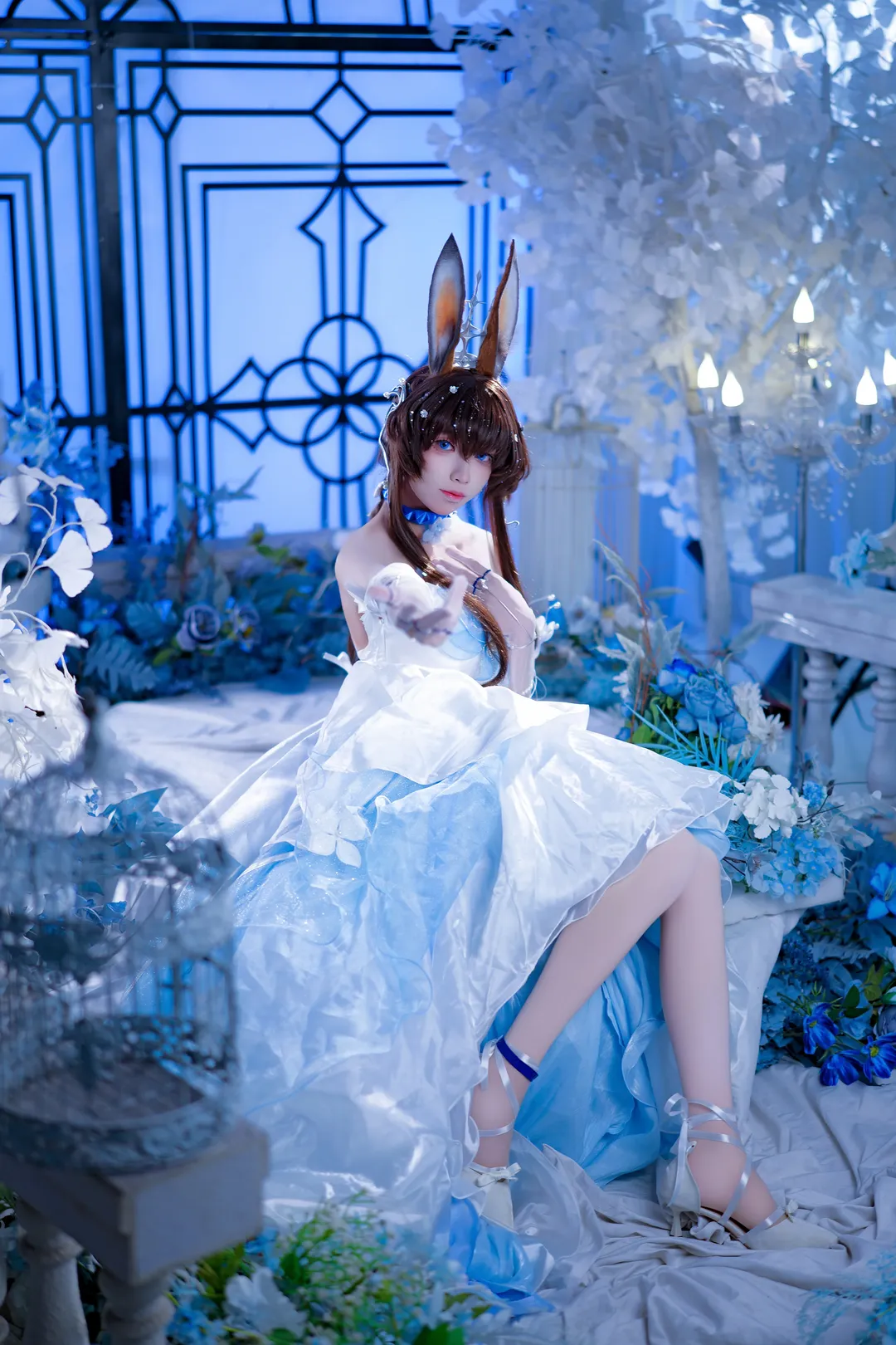Arknights, Amiya cosplay, Cosplay photoshoot, Blooms of Time, Blue and white dress photoshoot - Image 3