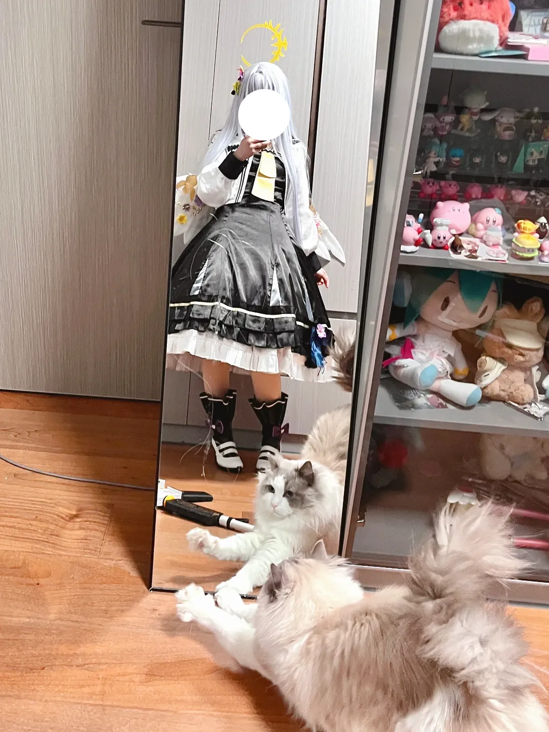 碧蓝档案, 白洲梓cos, 对镜自拍, cosplay日常, 二次元穿搭 - 第2张